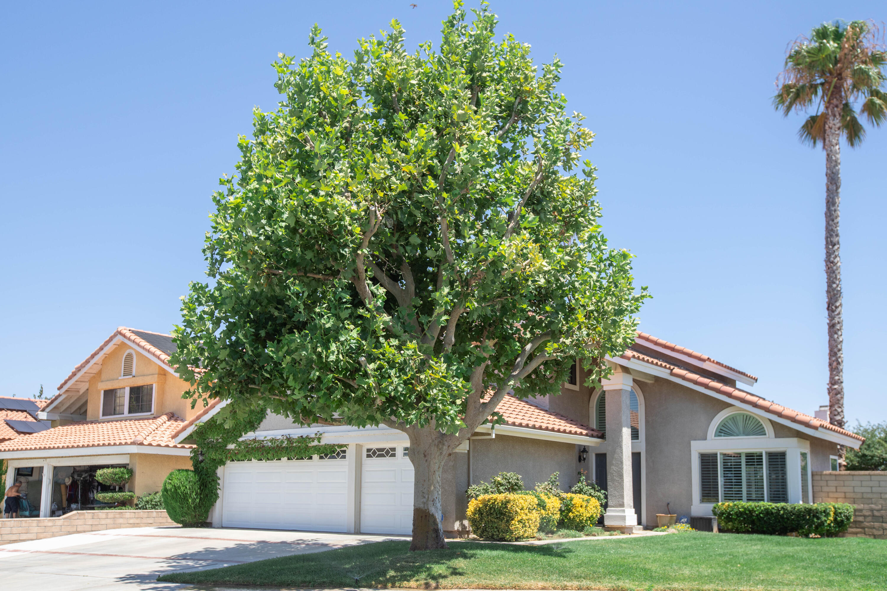 36852 Vía Del Rio Palmdale, CA 93550 - Photo 3 of 34 a front view of a house with garden