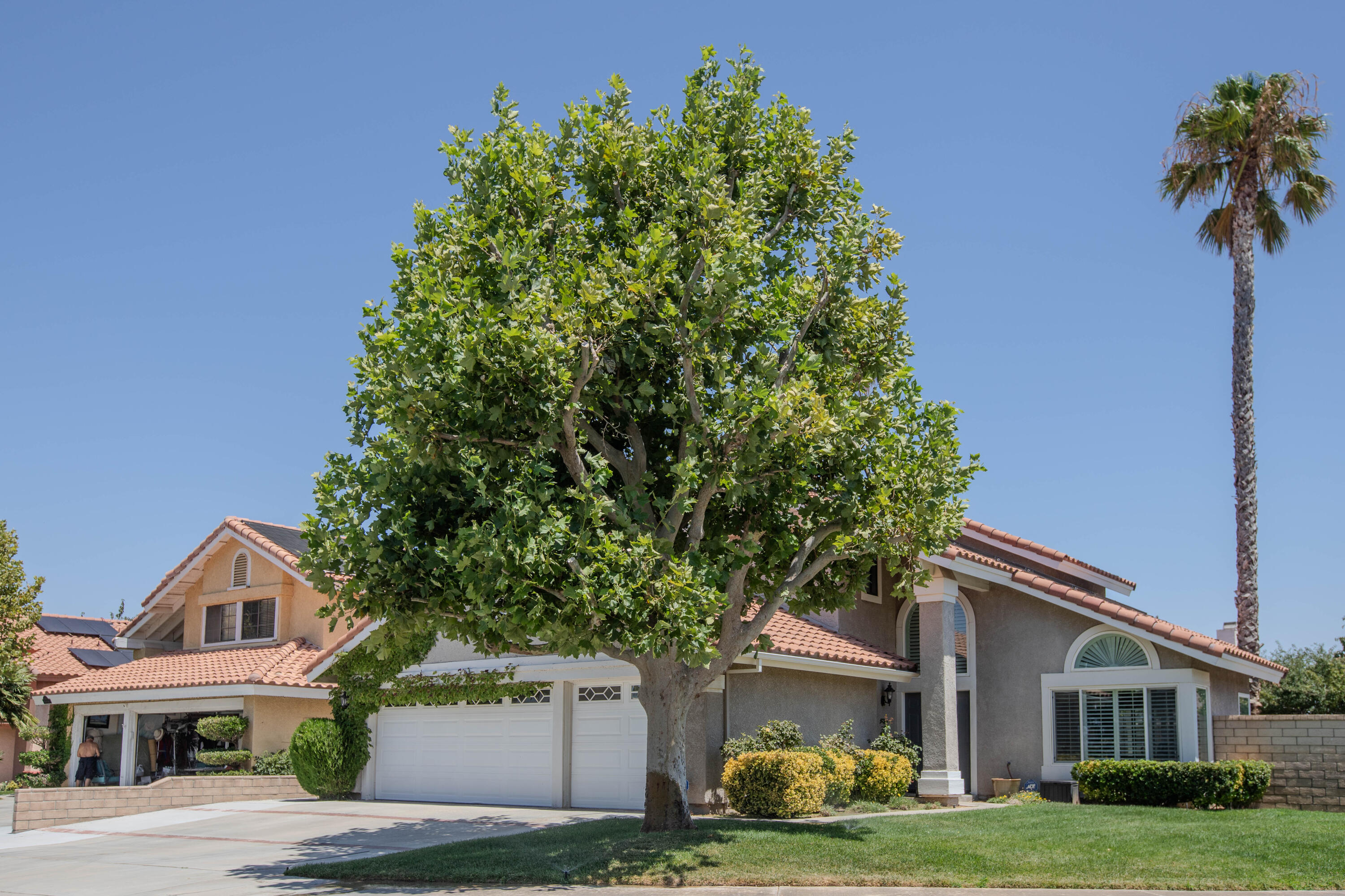 36852 Vía Del Rio Palmdale, CA 93550 - Photo 4 of 34 a front view of a house with garden