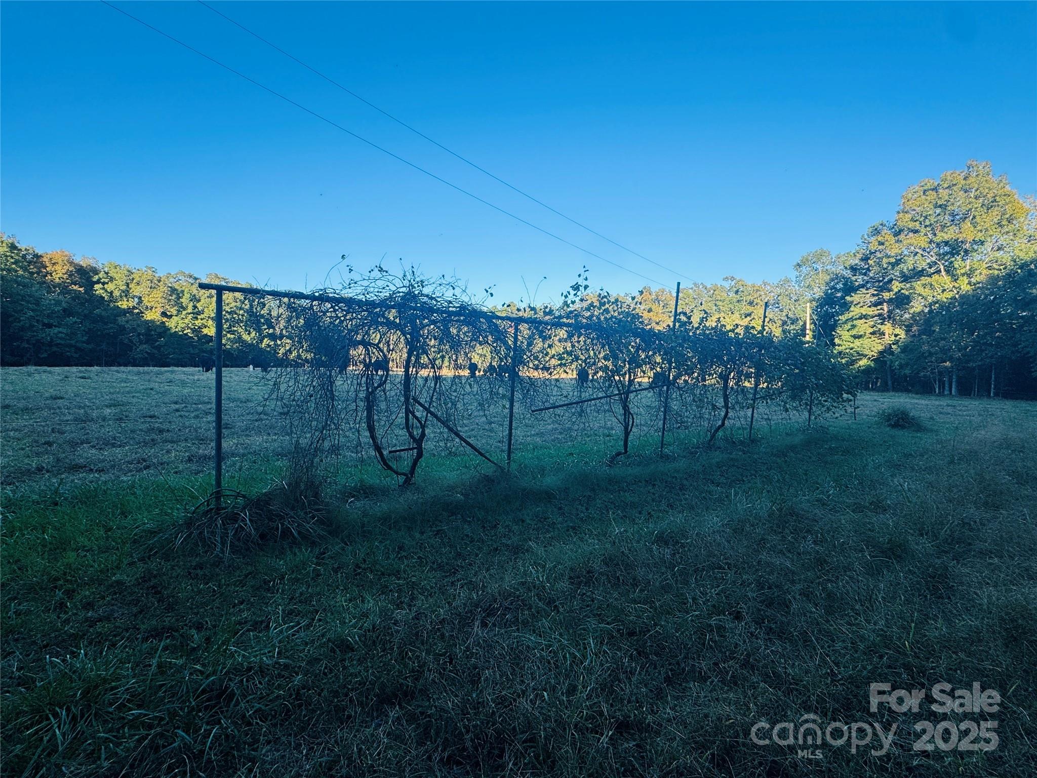 565 Barber Road Gold Hill, NC 28071 - Photo 34 of 42 a view of a park