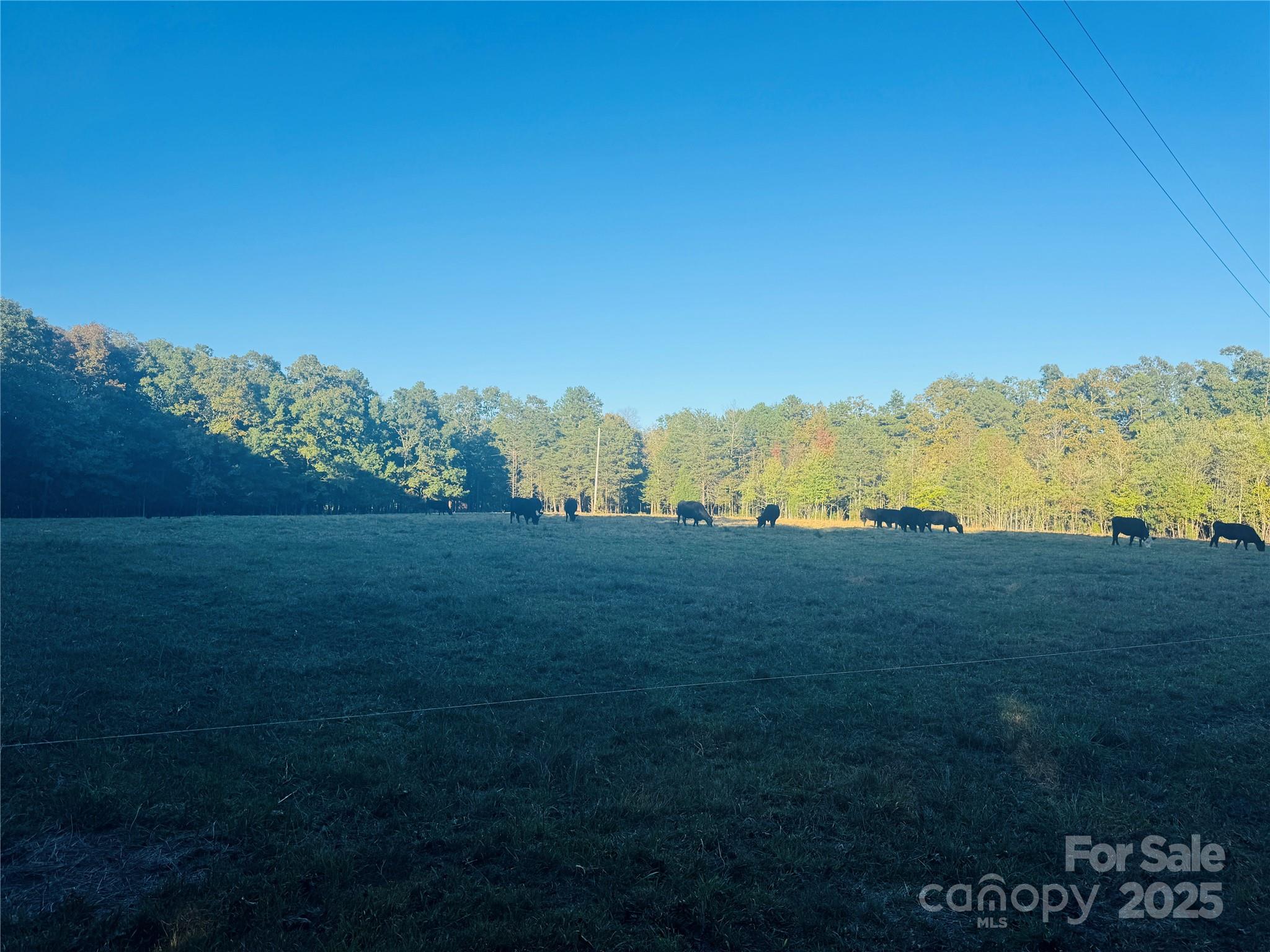 565 Barber Road Gold Hill, NC 28071 - Photo 35 of 42 a view of lake and mountain