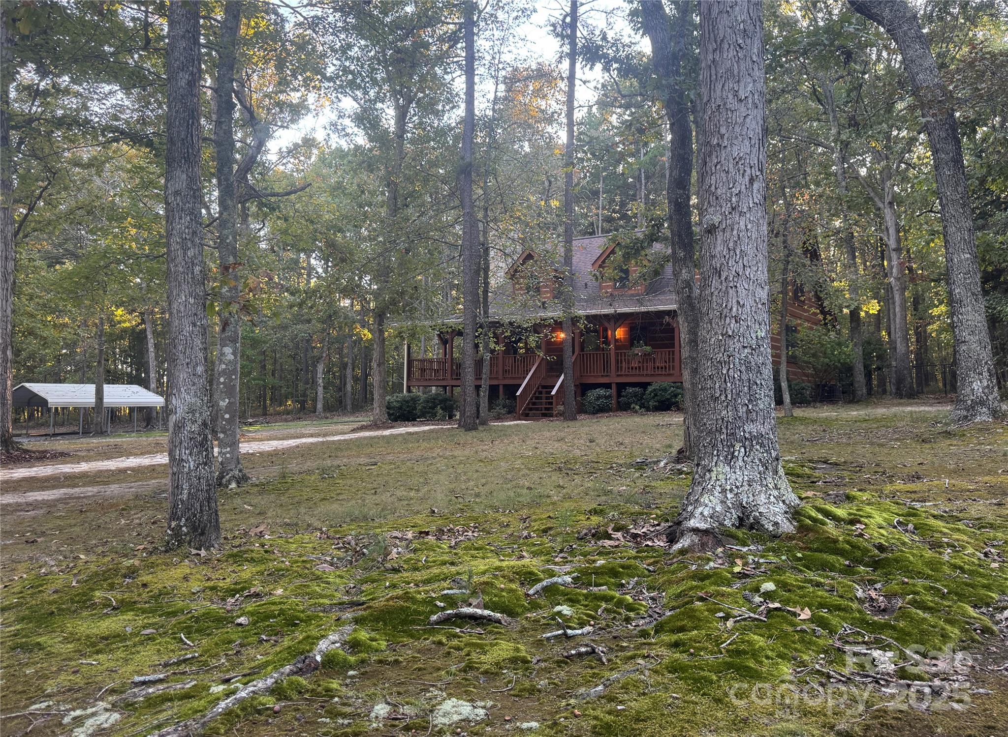565 Barber Road Gold Hill, NC 28071 - Photo 9 of 42 a view of a tree in the middle of a forest