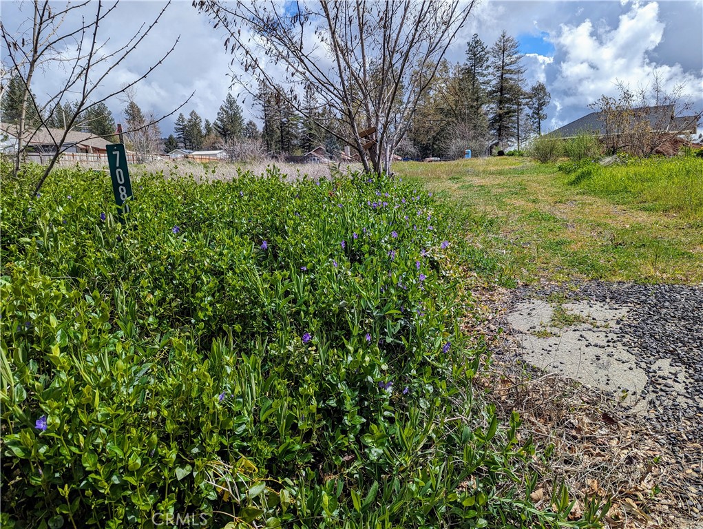 7080 Pentz Road Paradise, CA 95969 - Photo 1 of 1 Gallery Image 1