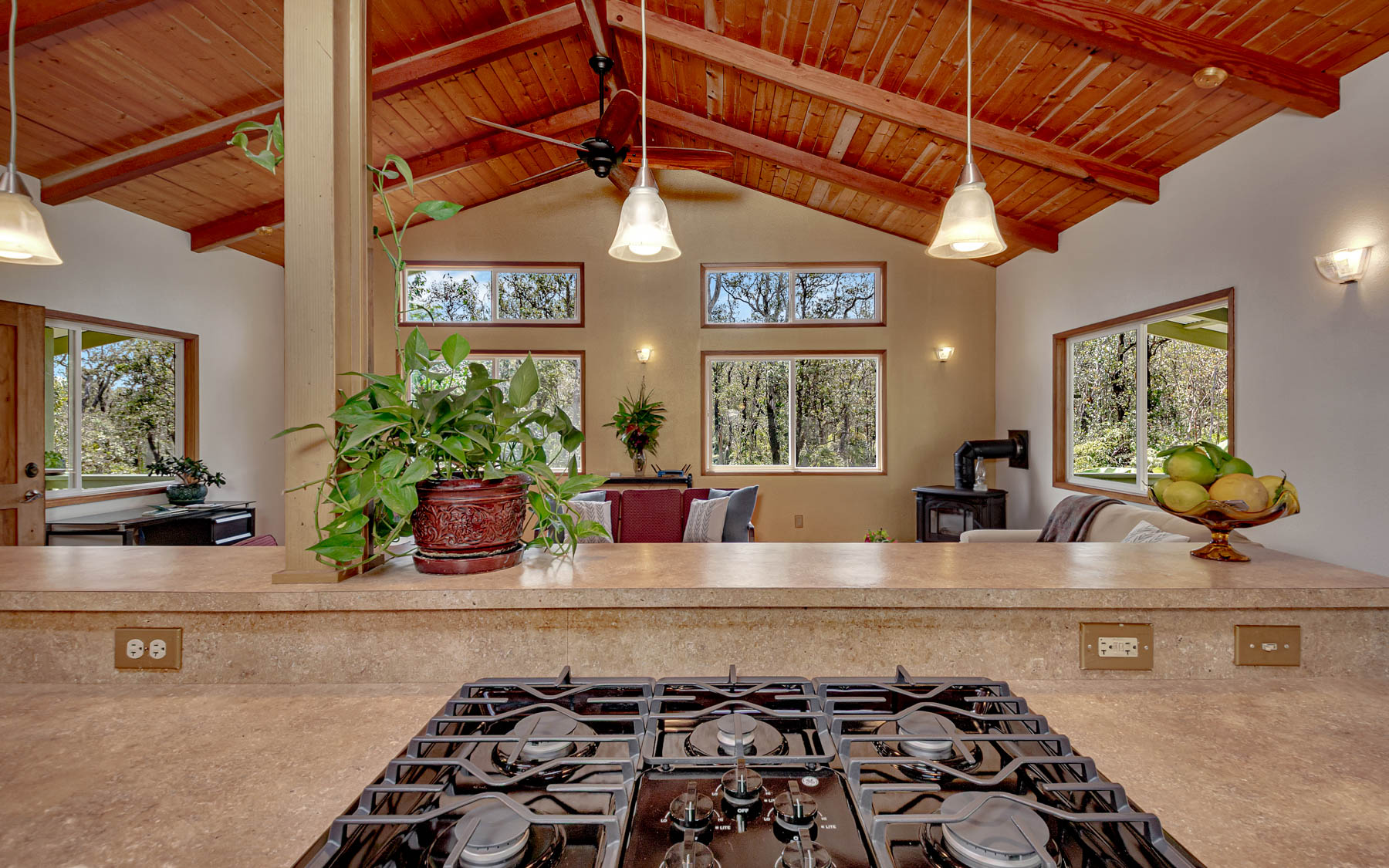 11-3121 Hoolehua Road Volcano, HI 96785 - Photo 13 of 29