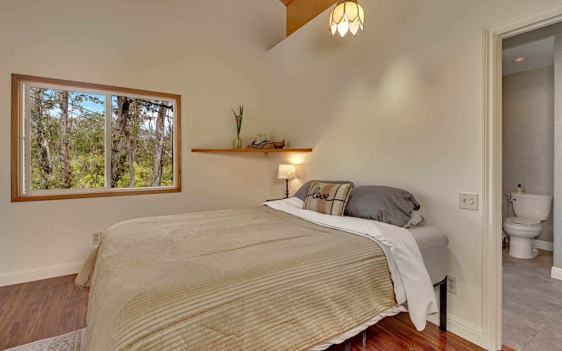 11-3121 Hoolehua Road Volcano, HI 96785 - Photo 19 of 29