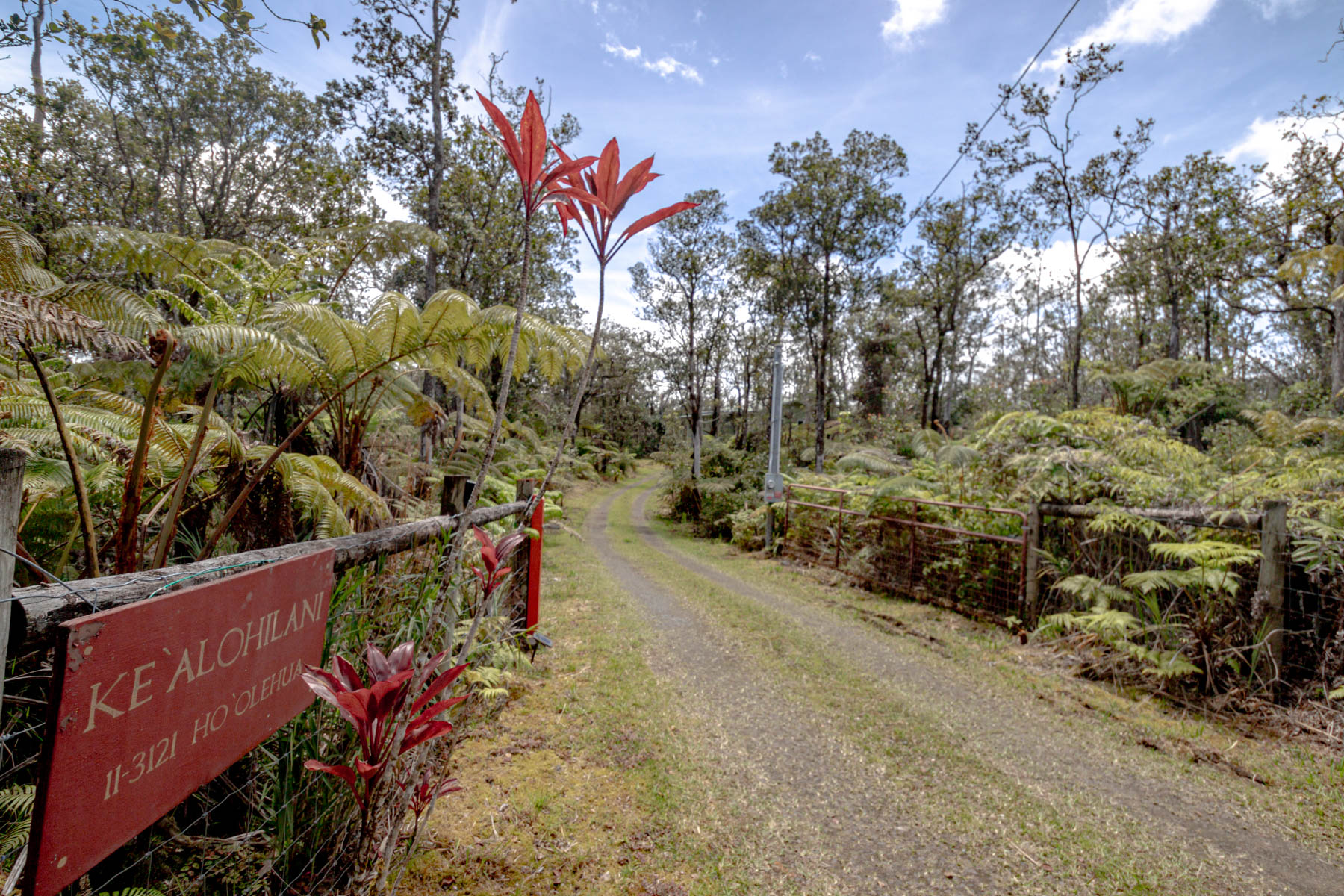 11-3121 Hoolehua Road Volcano, HI 96785 - Photo 2 of 29
