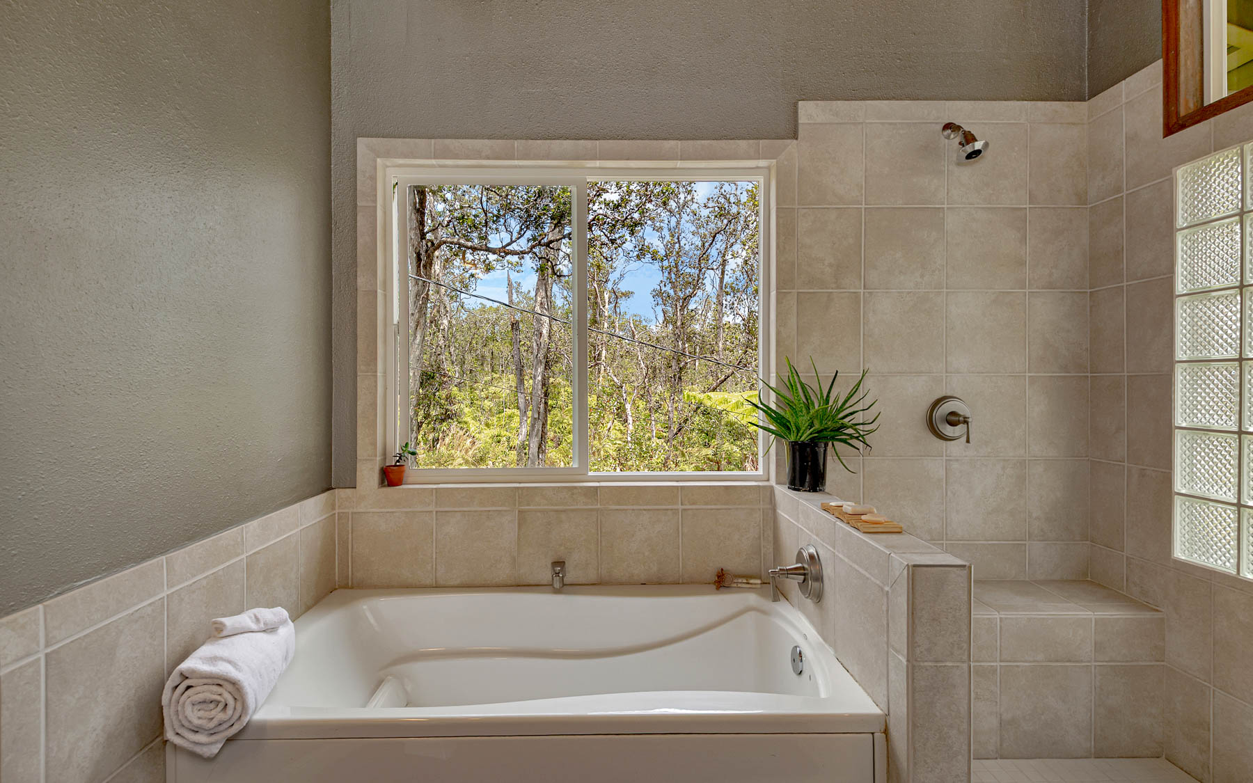 11-3121 Hoolehua Road Volcano, HI 96785 - Photo 21 of 29