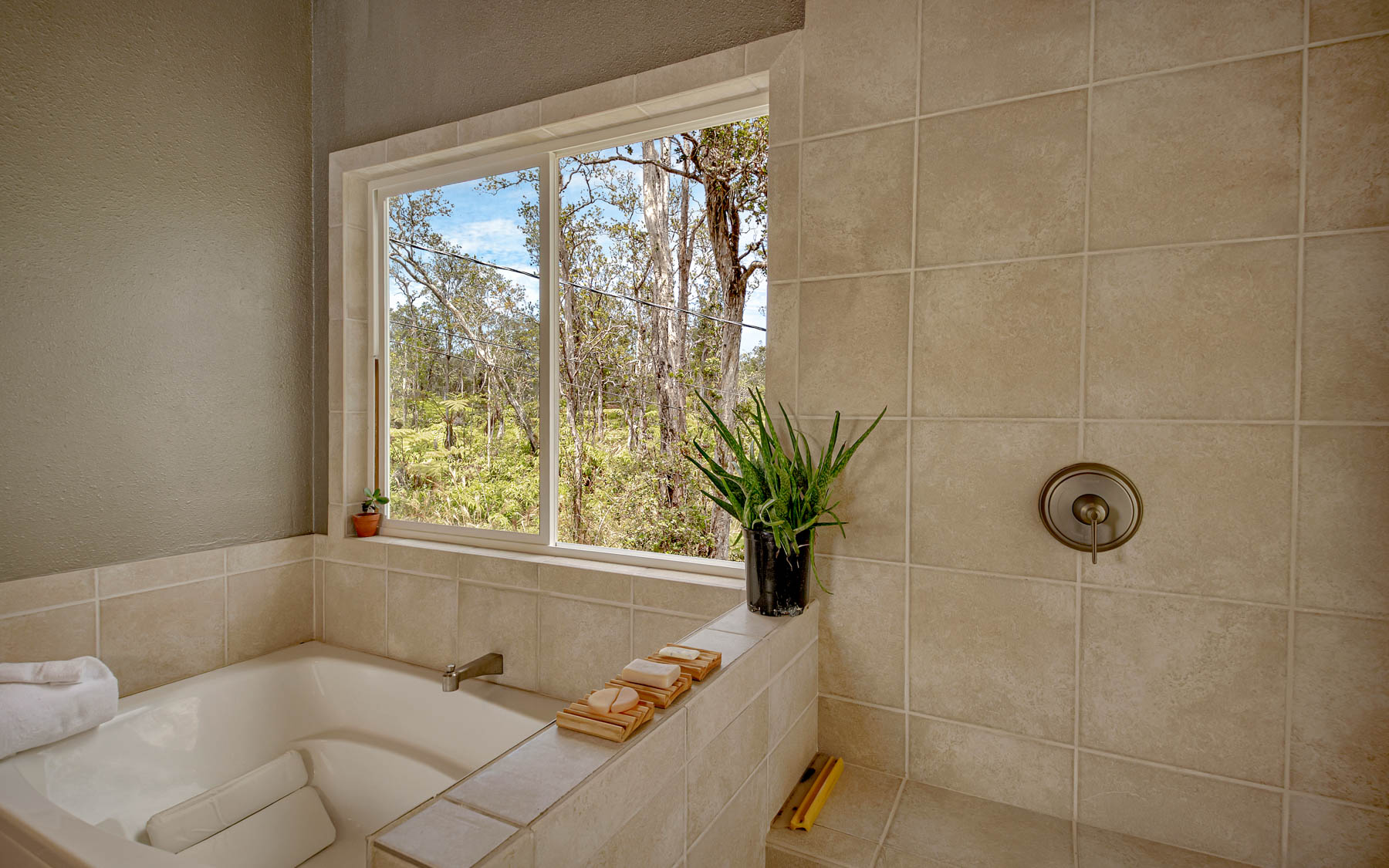 11-3121 Hoolehua Road Volcano, HI 96785 - Photo 22 of 29