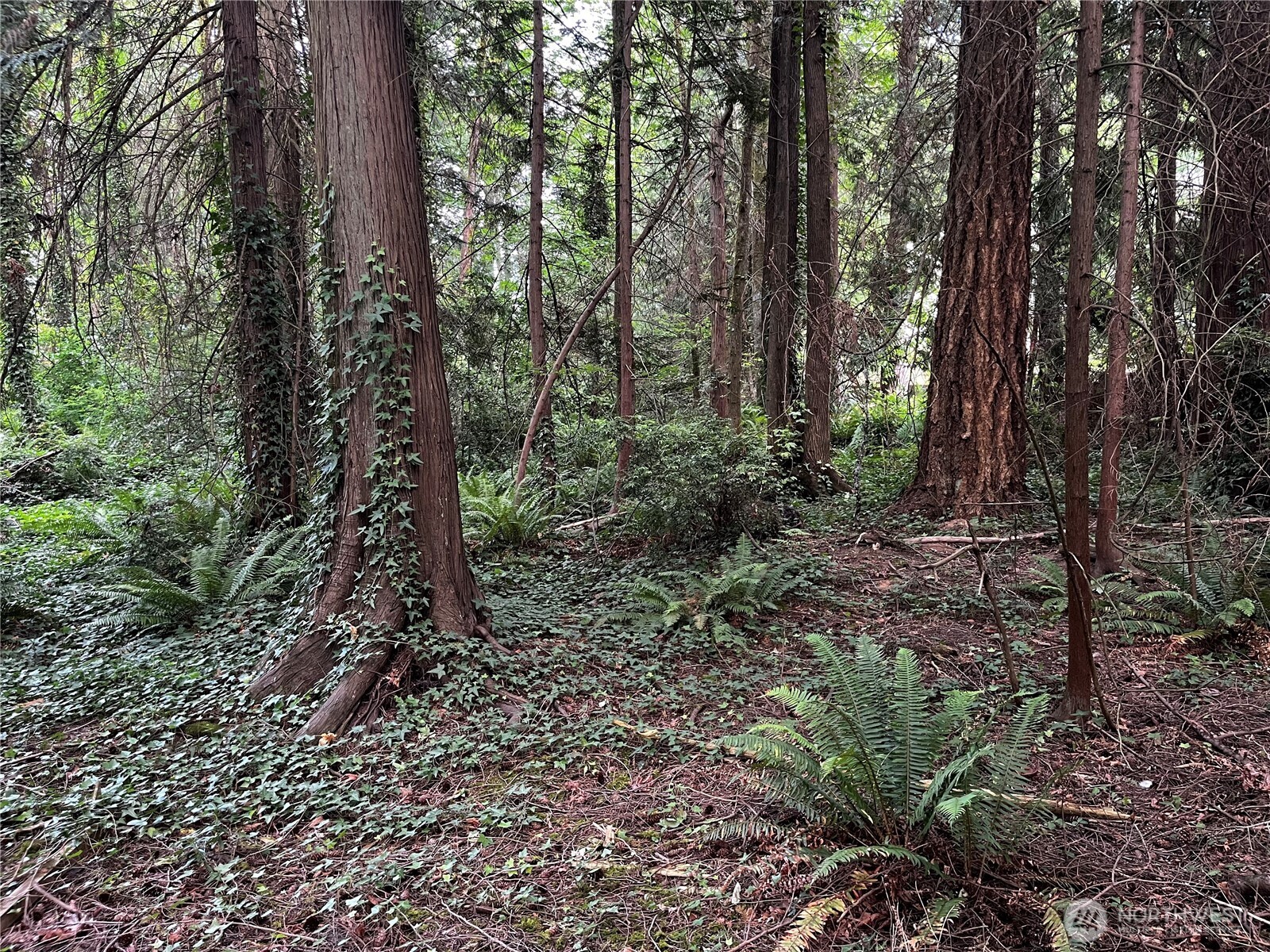 -xxx Illahee Road Northeast Bremerton, WA 98310 - Photo 1 of 1 Gallery Image 1