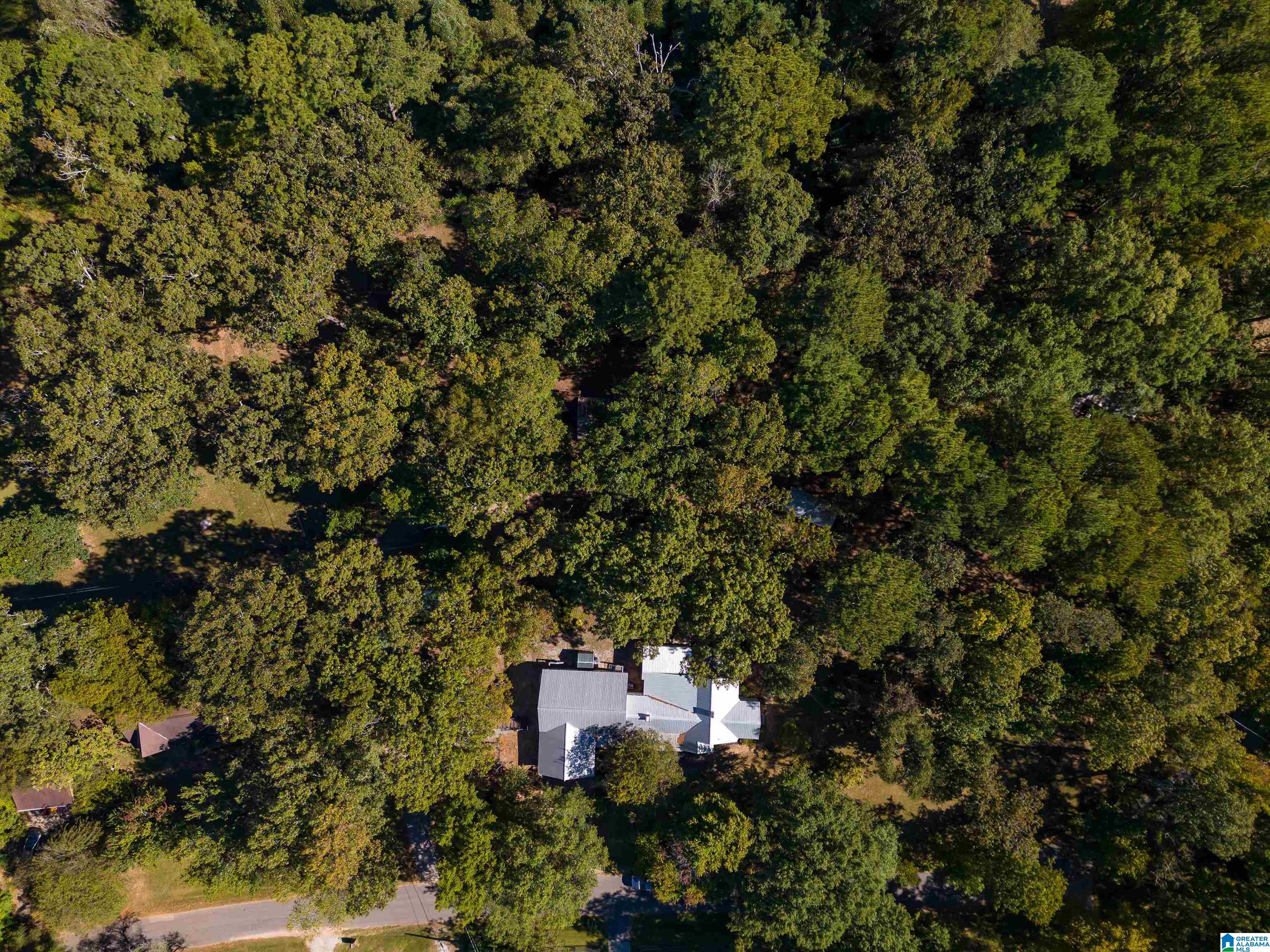8073 West Hill Road Pinson, AL 35126 - Photo 49 of 50
