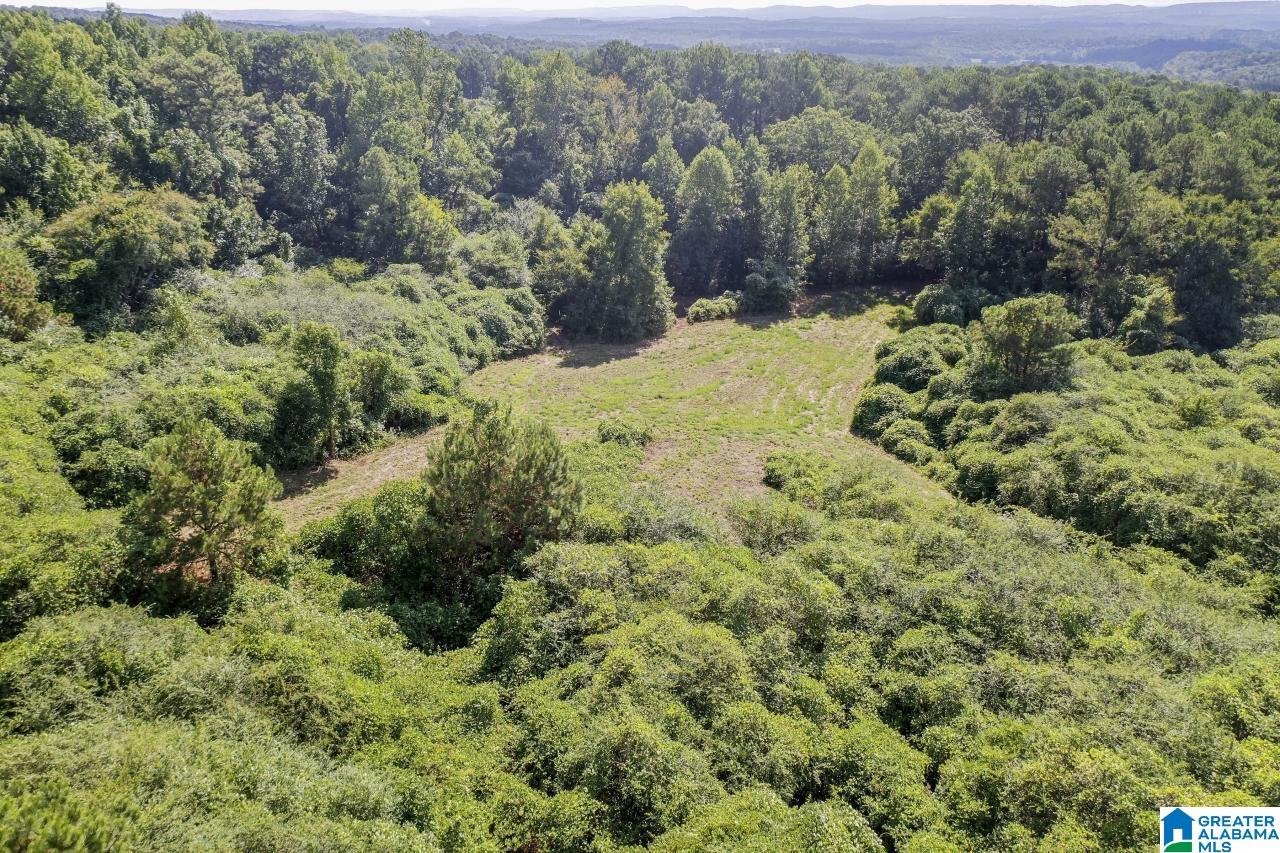 0 Peach Circle, Unit PARCEL 4 Hayden, AL 35079 - Photo 1 of 4