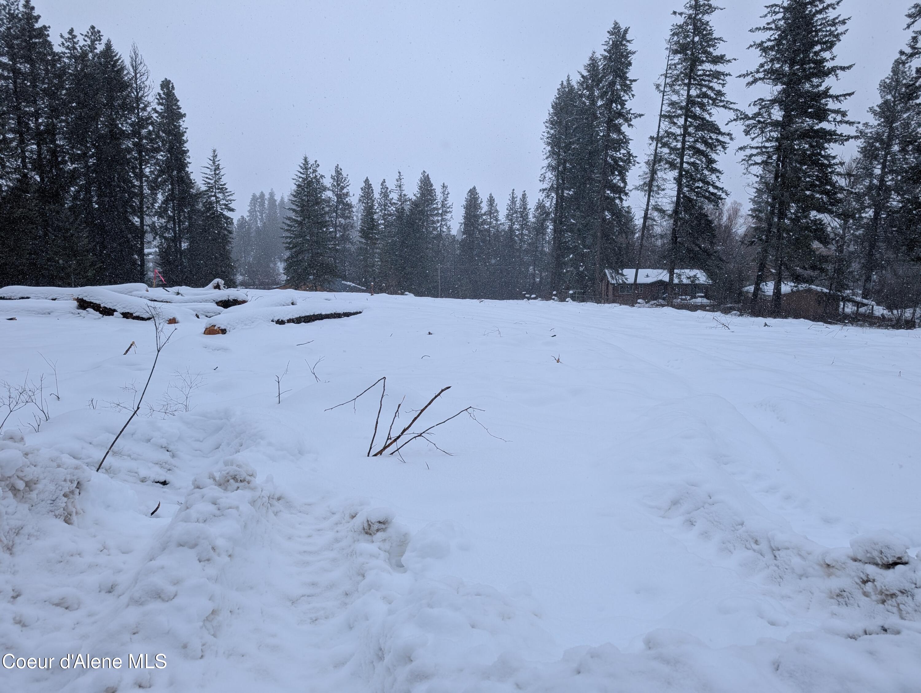 F Street Plummer, ID 83851 - Photo 6 of 10 1000007276 (1)