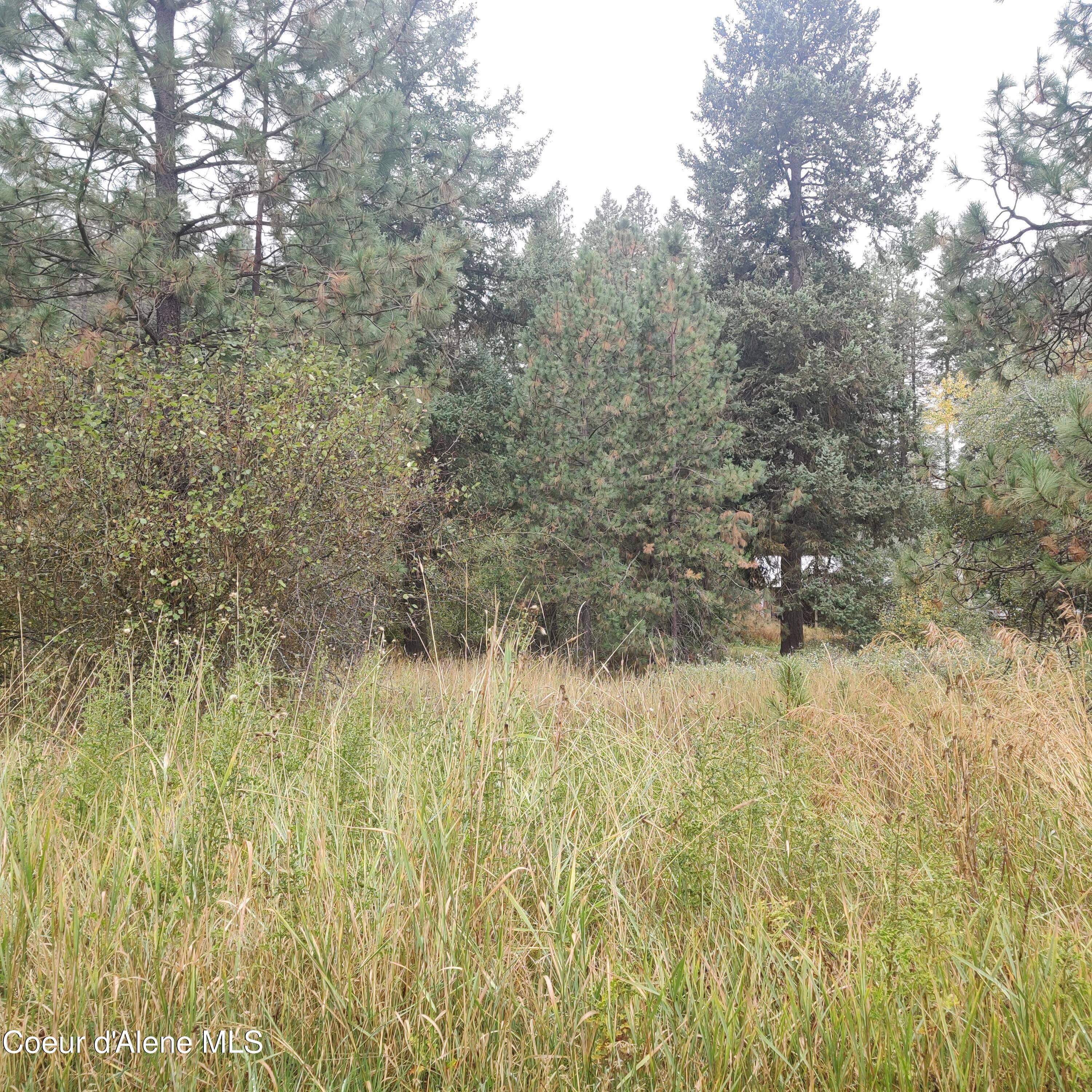 F Street Plummer, ID 83851 - Photo 9 of 10 brush and undergrowth