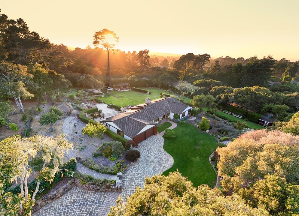 a view of a street with a large trees
