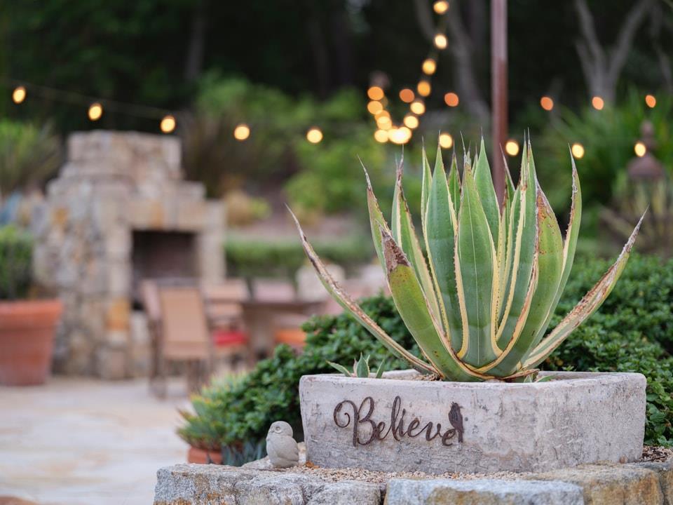 1340 Jacks Road Monterey, CA 93940 - Photo 25 of 37 a view of a flower garden