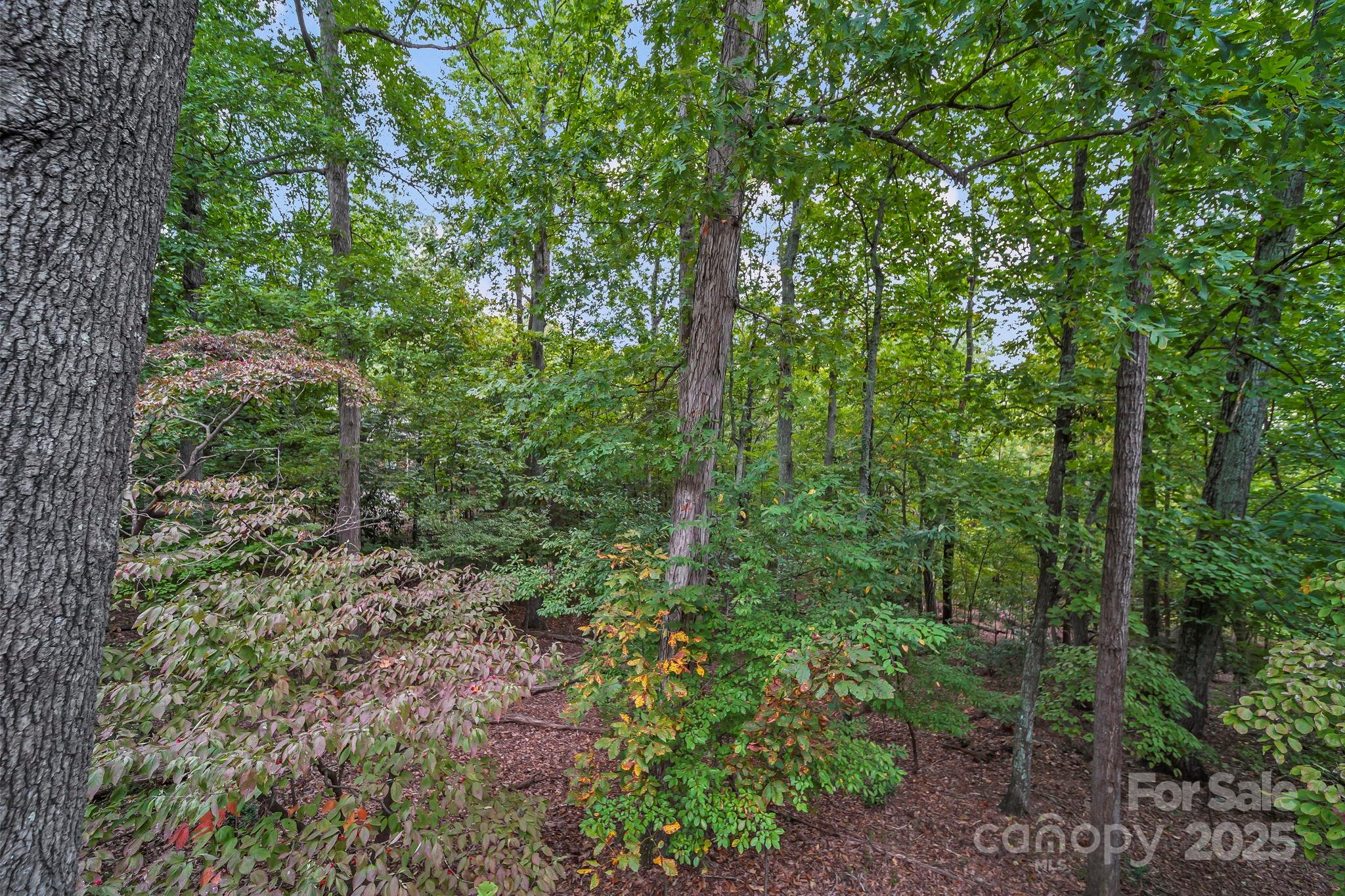 204 Keyhole Court Cramerton, NC 28032 - Photo 43 of 48