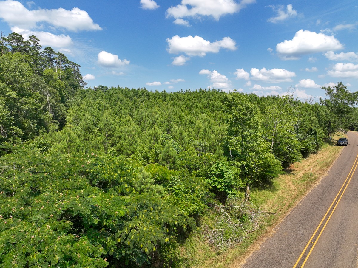 5 Interstate 35 Natalia, TX 78059 - Photo 6 of 9