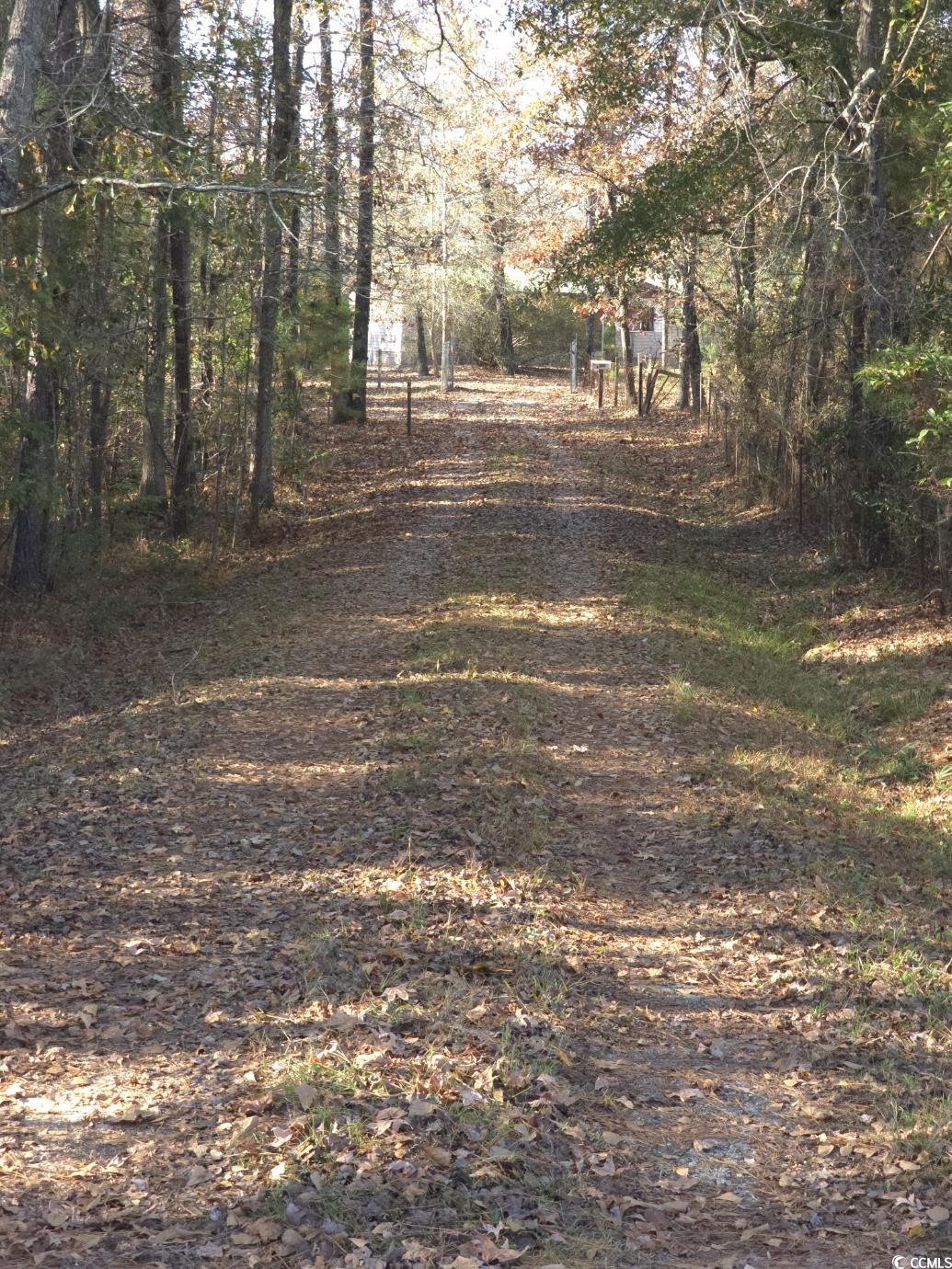 150 Landmark Road Conway, SC 29527 - Photo 32 of 35 View of dirt / gravel driveway