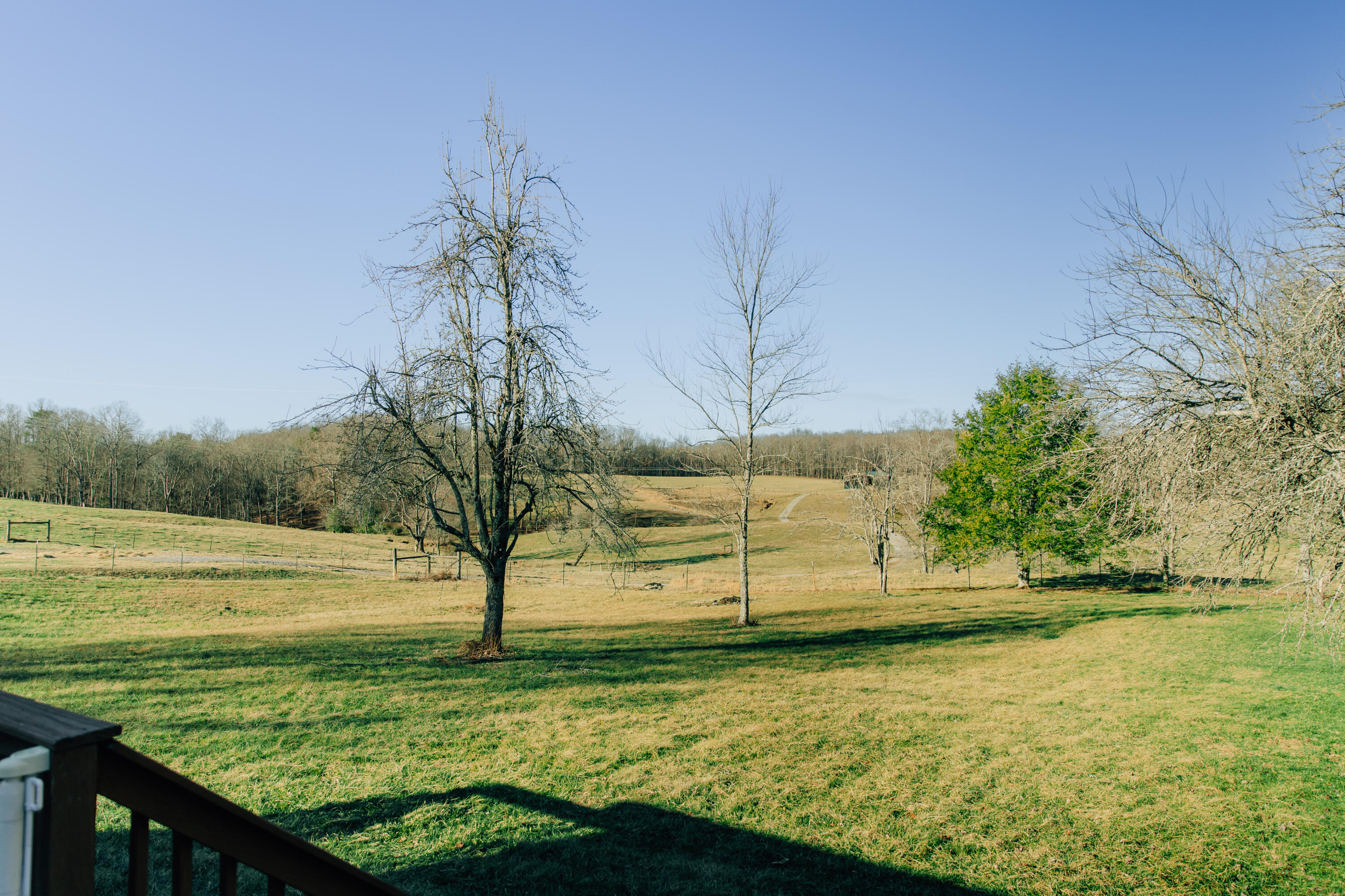 1254 Shaver Road Dayton, TN 37321 - Photo 2 of 23 Lili Wilson Photography-35