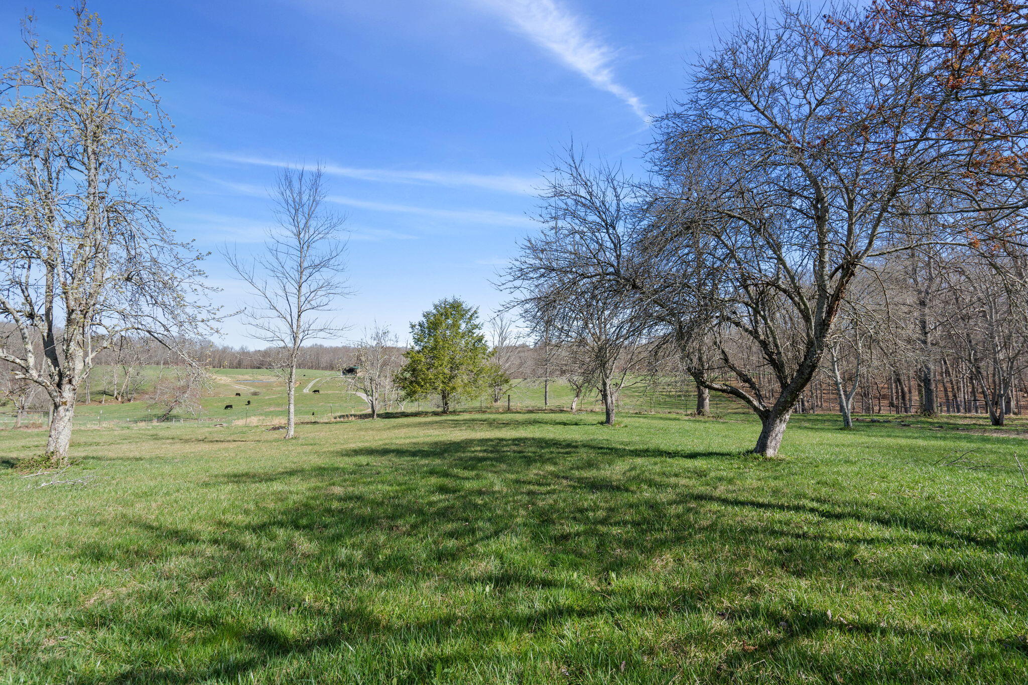 1254 Shaver Road Dayton, TN 37321 - Photo 6 of 25 27-web-or-mls-Shaver Rd-Michelle R-27