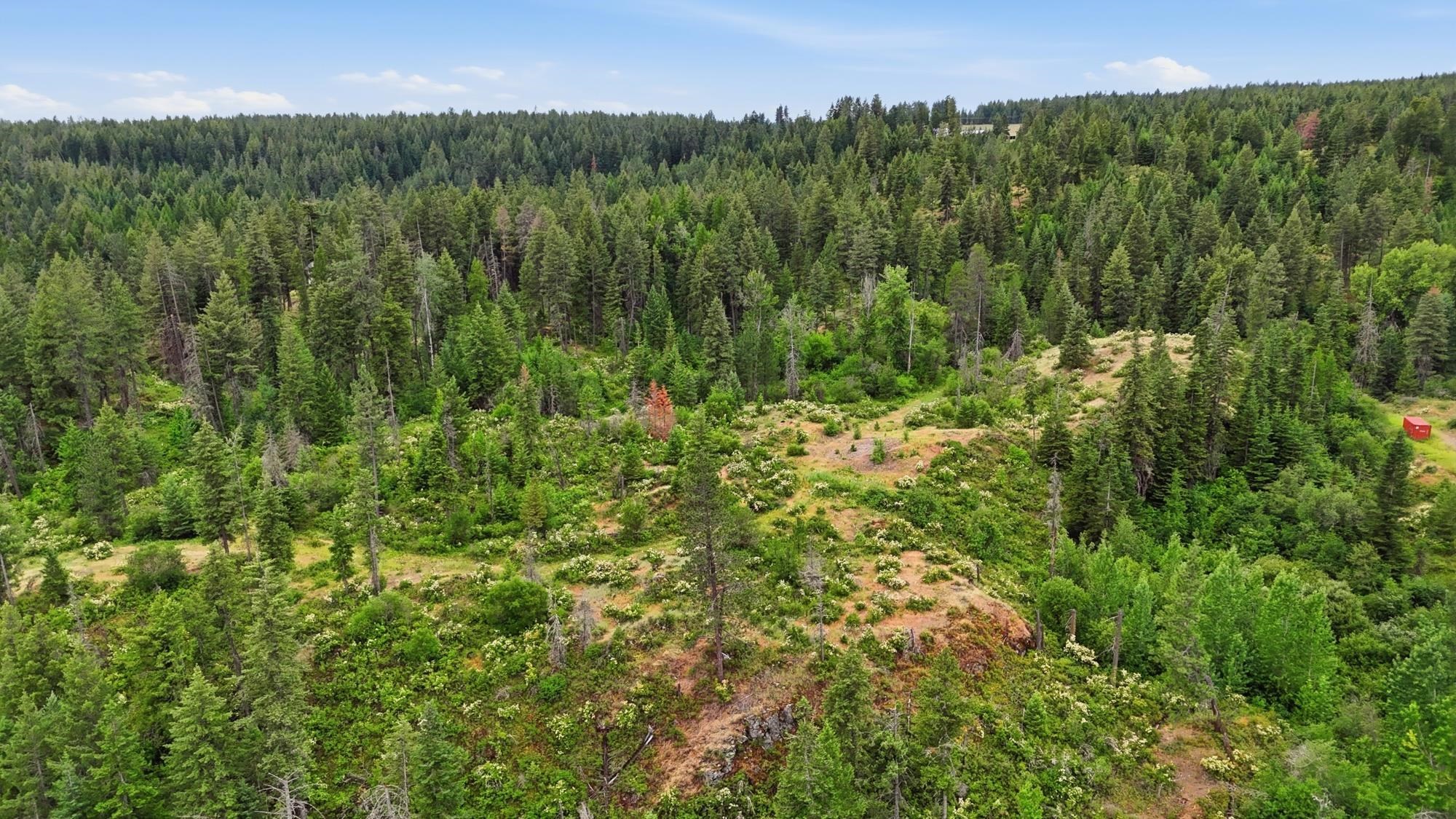 42700 North Hatch Road Deer Park, WA 99006 - Photo 11 of 16