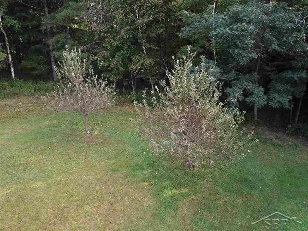 1093 East Curtis Road Hope, MI 48628 - Photo 42 of 42