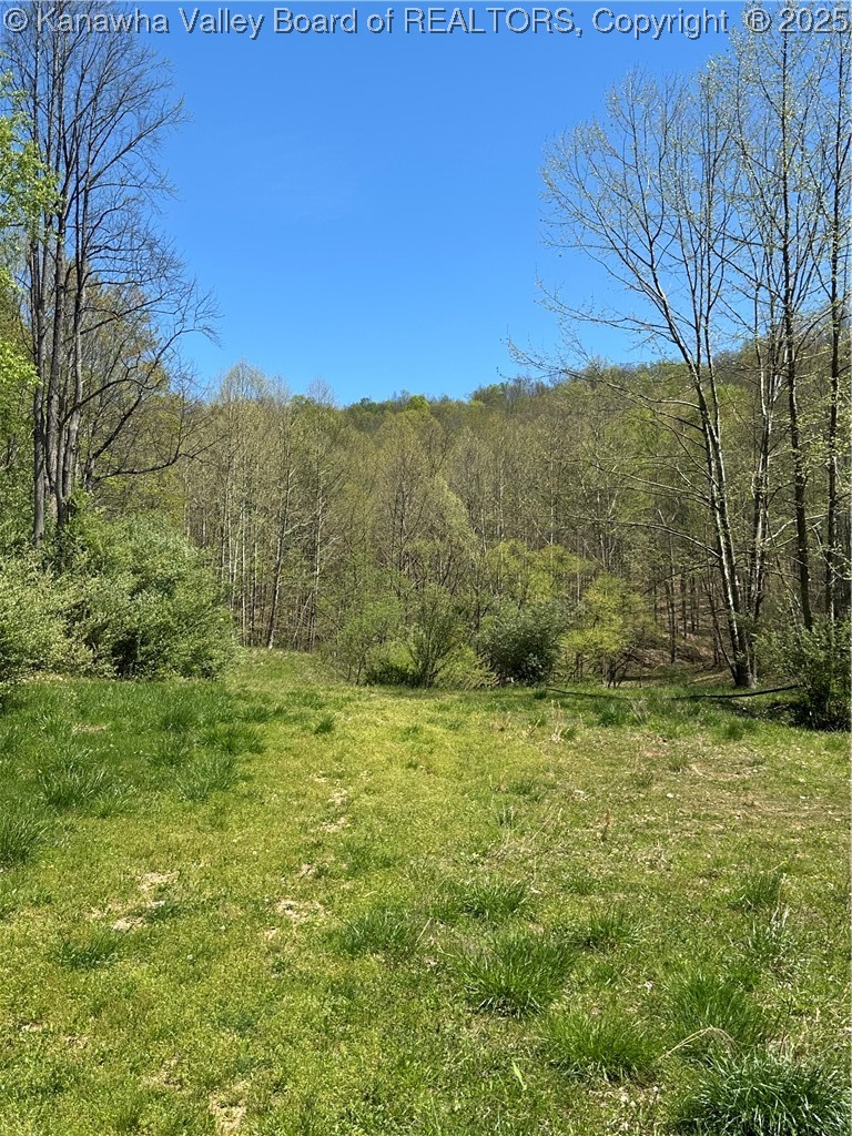 Lot #3 Sugartree Road Griffithsville, WV 25521 - Photo 3 of 10 Gallery Image 3