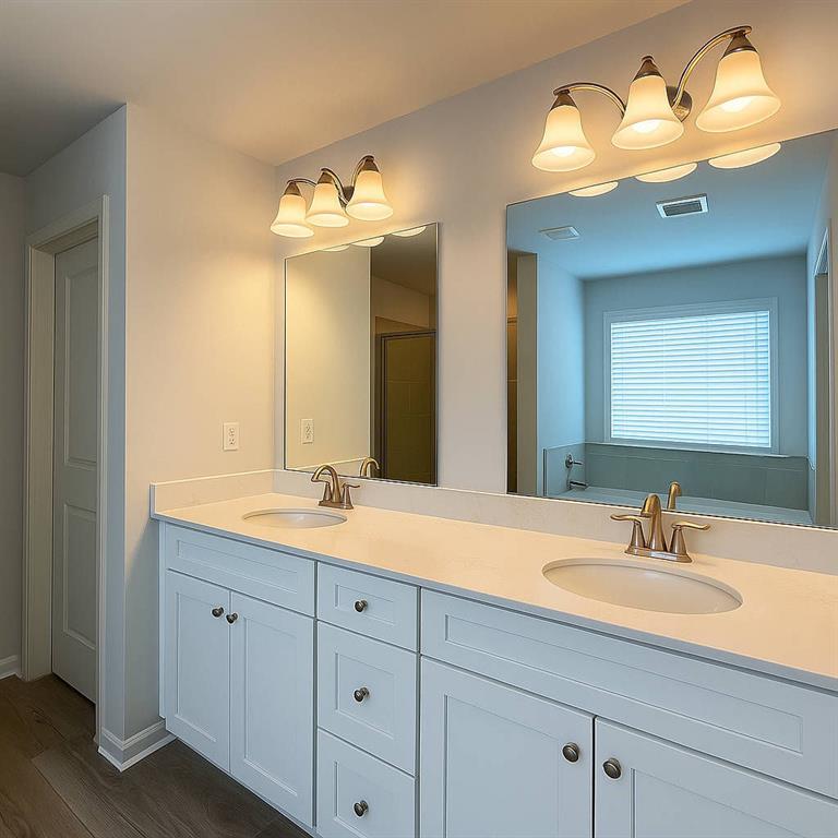 2790 Dolce Road Dacula, GA 30019 - Photo 48 of 66 a bathroom with a sink double vanity and a mirror