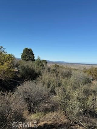 0 Reynolds Way Anza, CA 92539 - Photo 7 of 20 a view of a field
