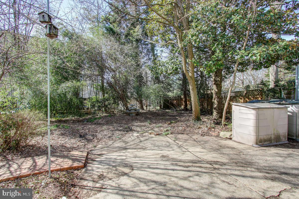 3322 Jones Bridge Road Chevy Chase, MD 20815 - Photo 29 of 30 Gallery Image 29