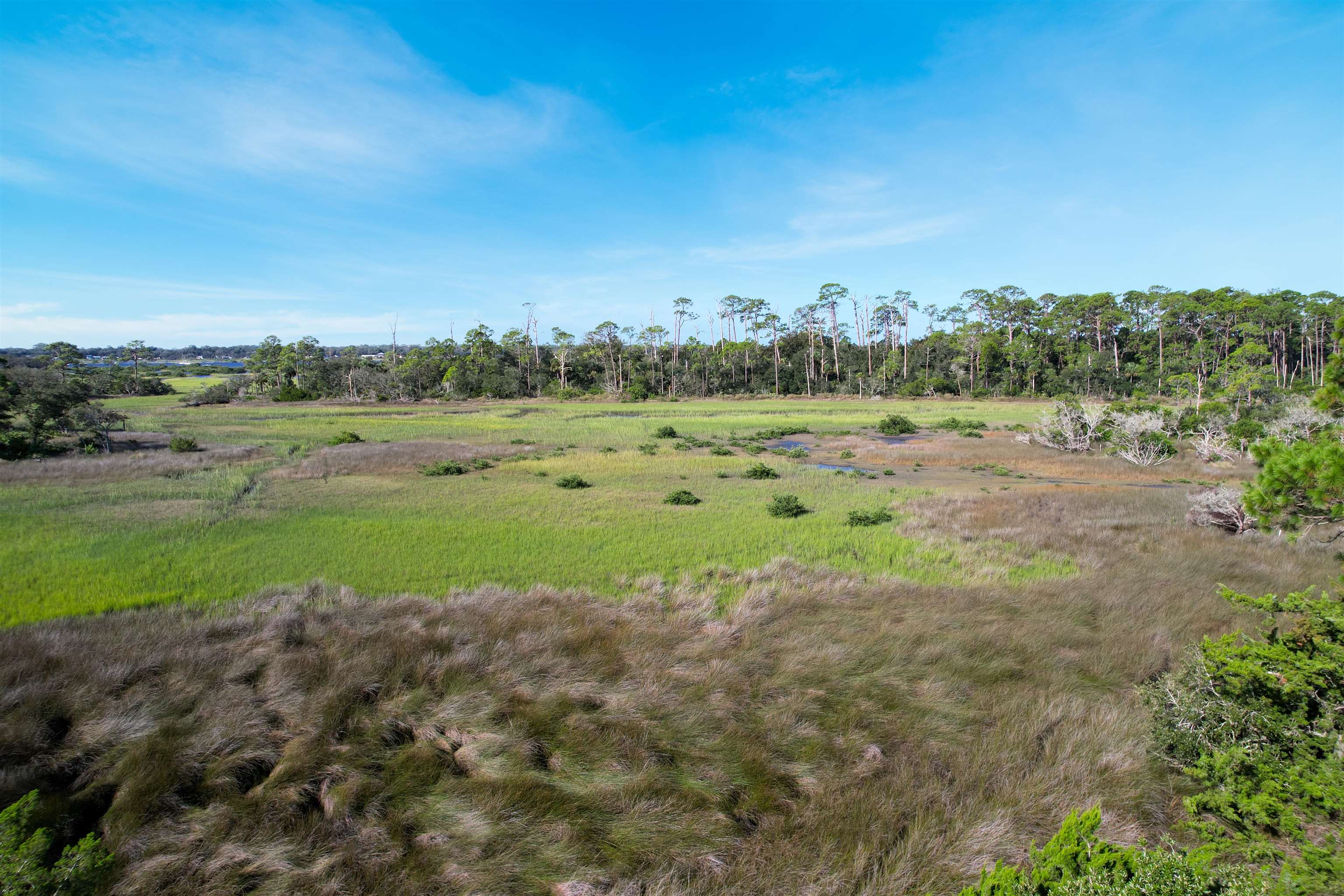 25115 Harbour Vista Circle St. Augustine, FL 32080 - Photo 32 of 39