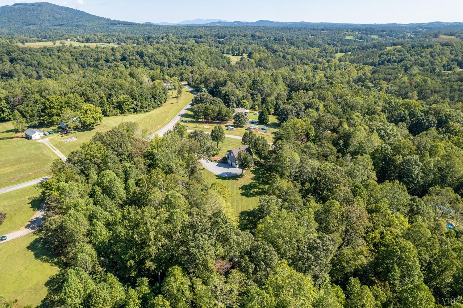 7996 Rocky Ford Road Moneta, VA 24121 - Photo 43 of 45 a view of a forest with an outdoor space