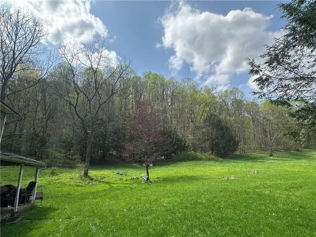 a view of a backyard