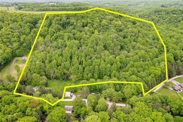 a view of a swimming pool with a yard