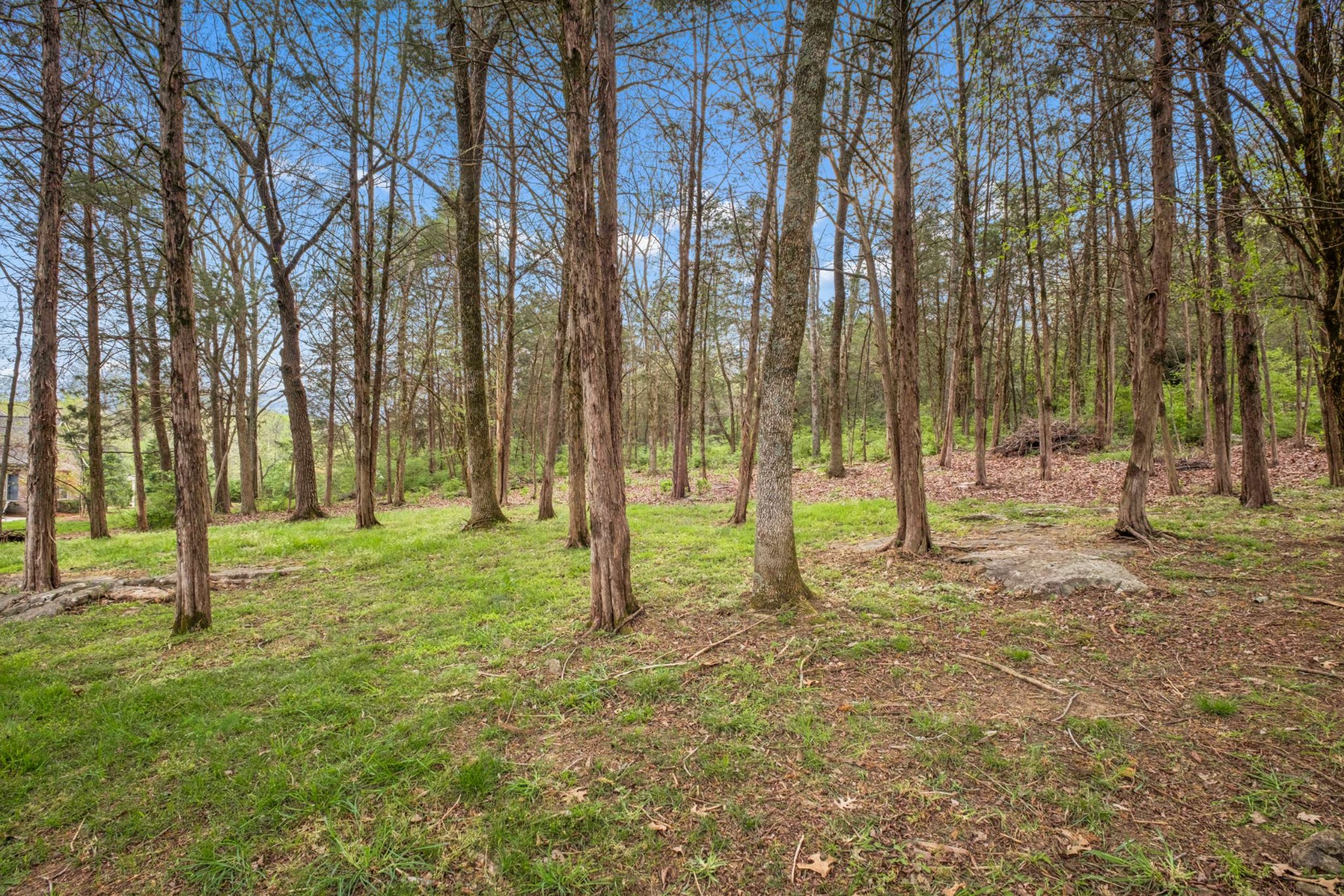 1058 Sunset Road Brentwood, TN 37027 - Photo 77 of 80