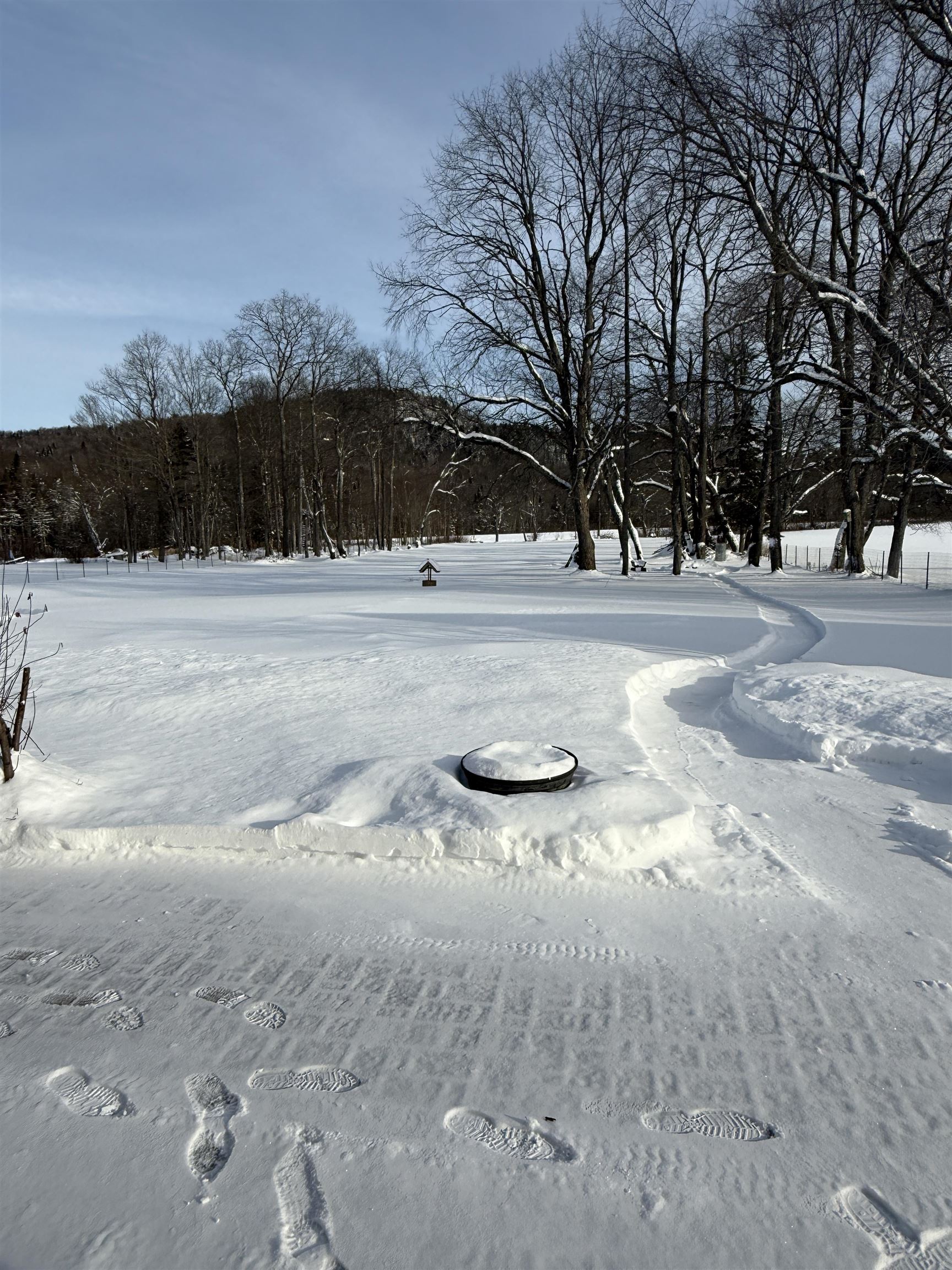220 Hall Strm Road Beecher Falls, VT 05902 - Photo 9 of 50