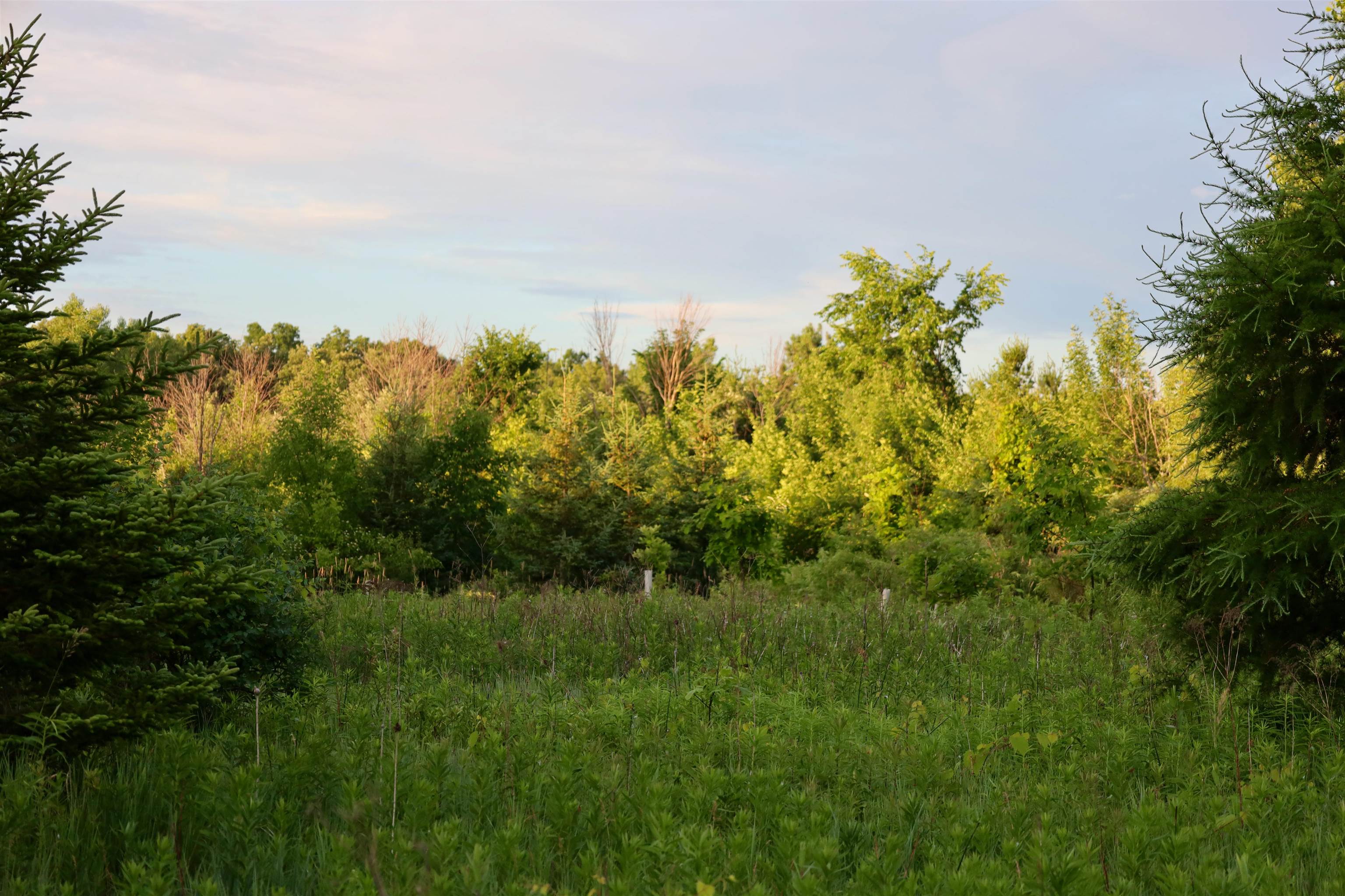 0 Kinker Road Fond du Lac, WI 54937 - Photo 32 of 36