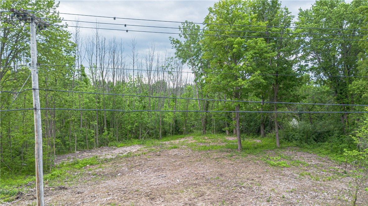 Whitney Road East Perinton, NY 14450 - Photo 3 of 6