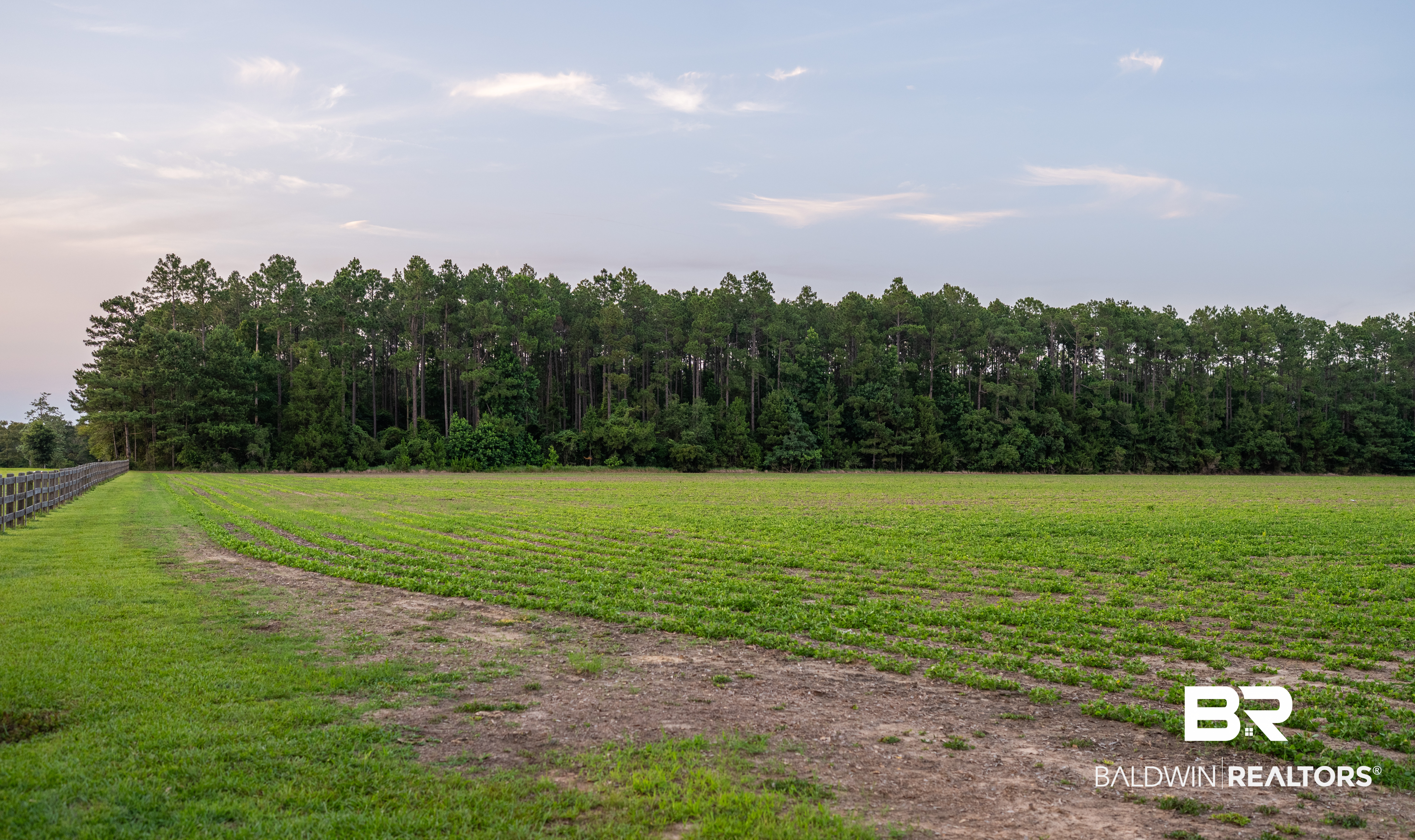0 Bromley Road Stapleton, AL 36578 - Photo 39 of 48 Gallery Image 39