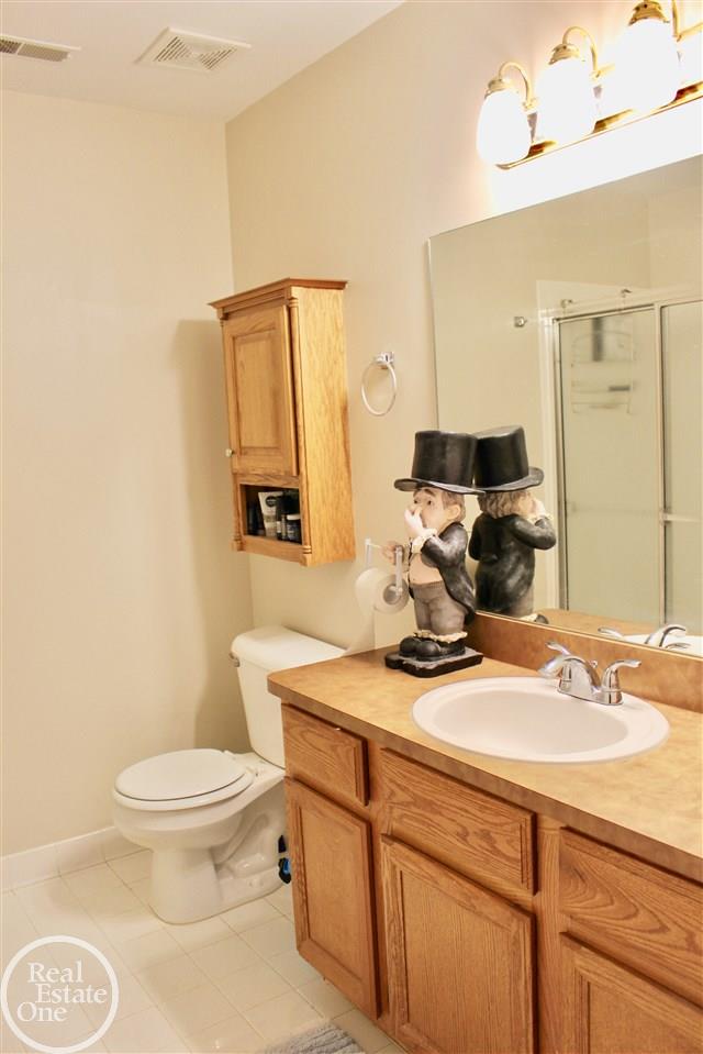 45763 Heather Ridge Drive Macomb, MI 48044 - Photo 17 of 28 Master Bathroom