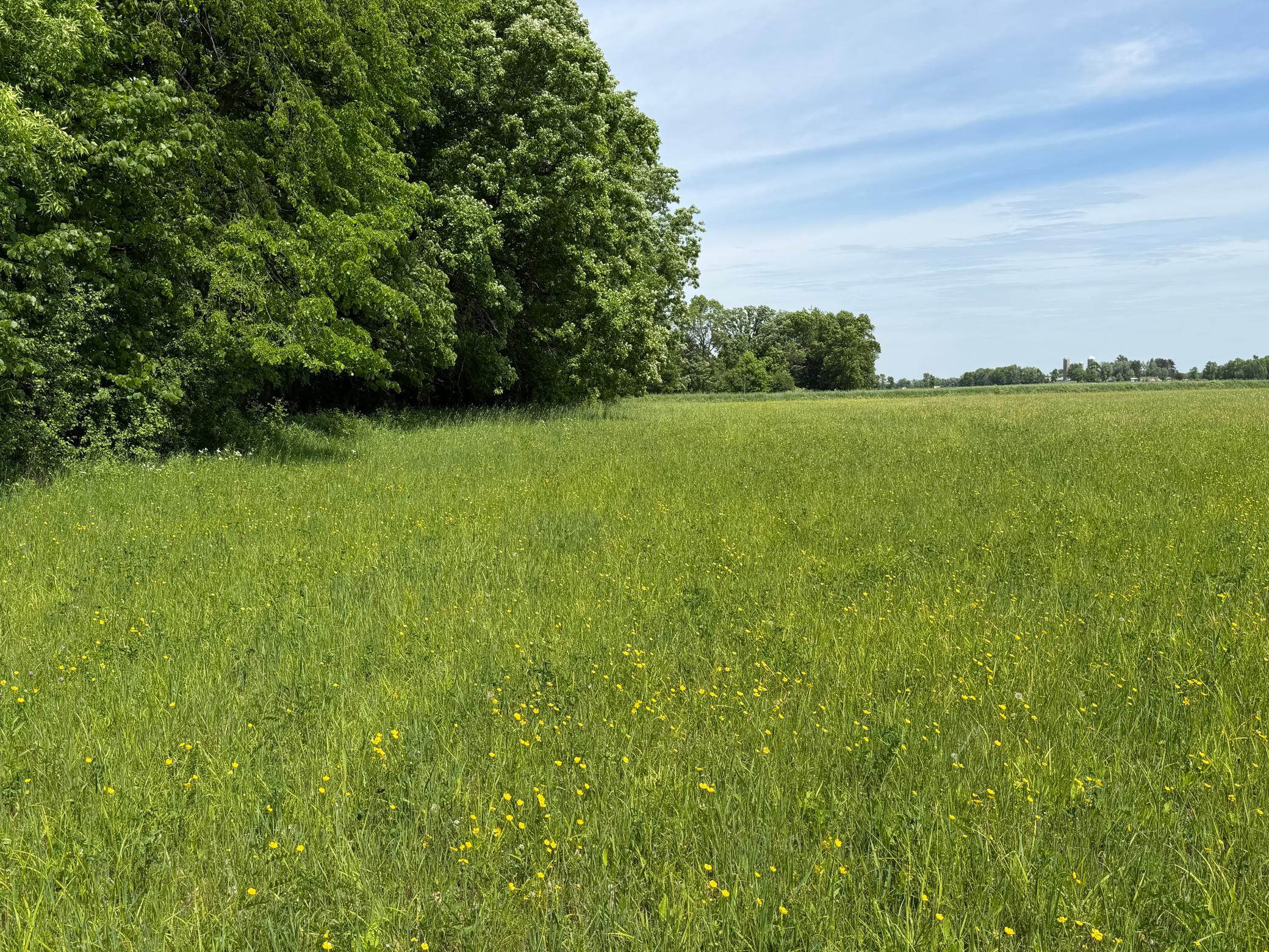 Tbd-b 180th Street Milaca, MN 56353 - Photo 30 of 80