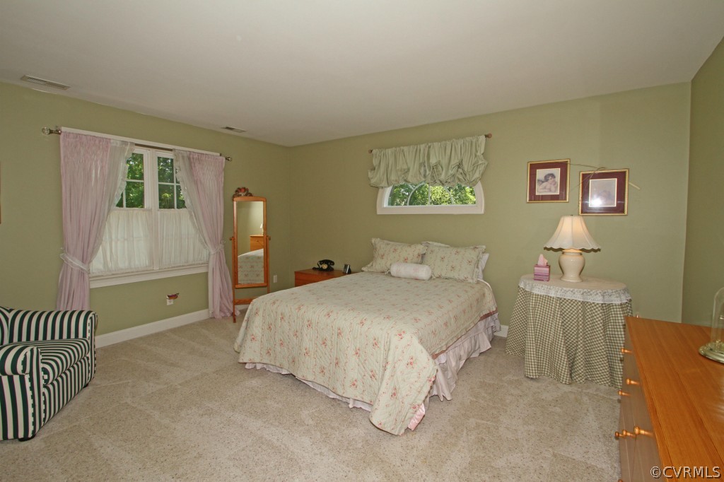 14312 Abbots Ridge Court Midlothian, VA 23113 - Photo 18 of 24 Gallery Image 18
