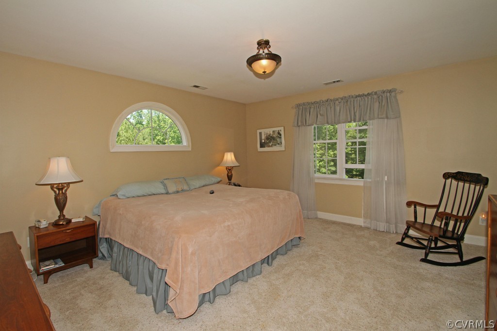 14312 Abbots Ridge Court Midlothian, VA 23113 - Photo 19 of 24 Gallery Image 19