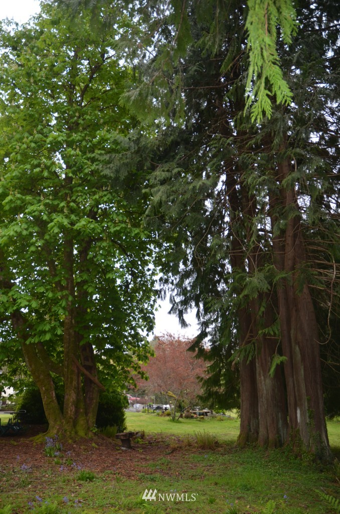3435 Willapa Road Raymond, WA 98577 - Photo 25 of 25 Gallery Image 25