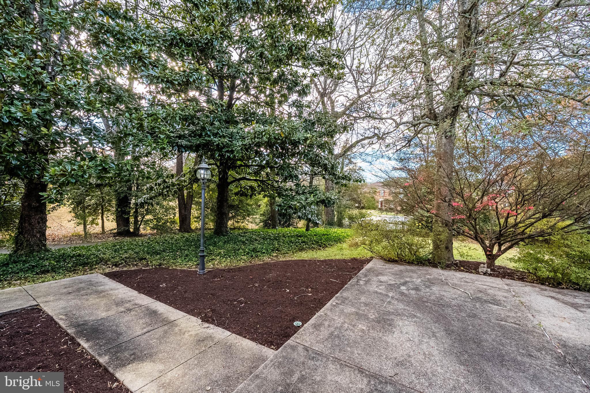 8454 Toll House Road Annandale, VA 22003 - Photo 11 of 65 a view of a street with a large trees