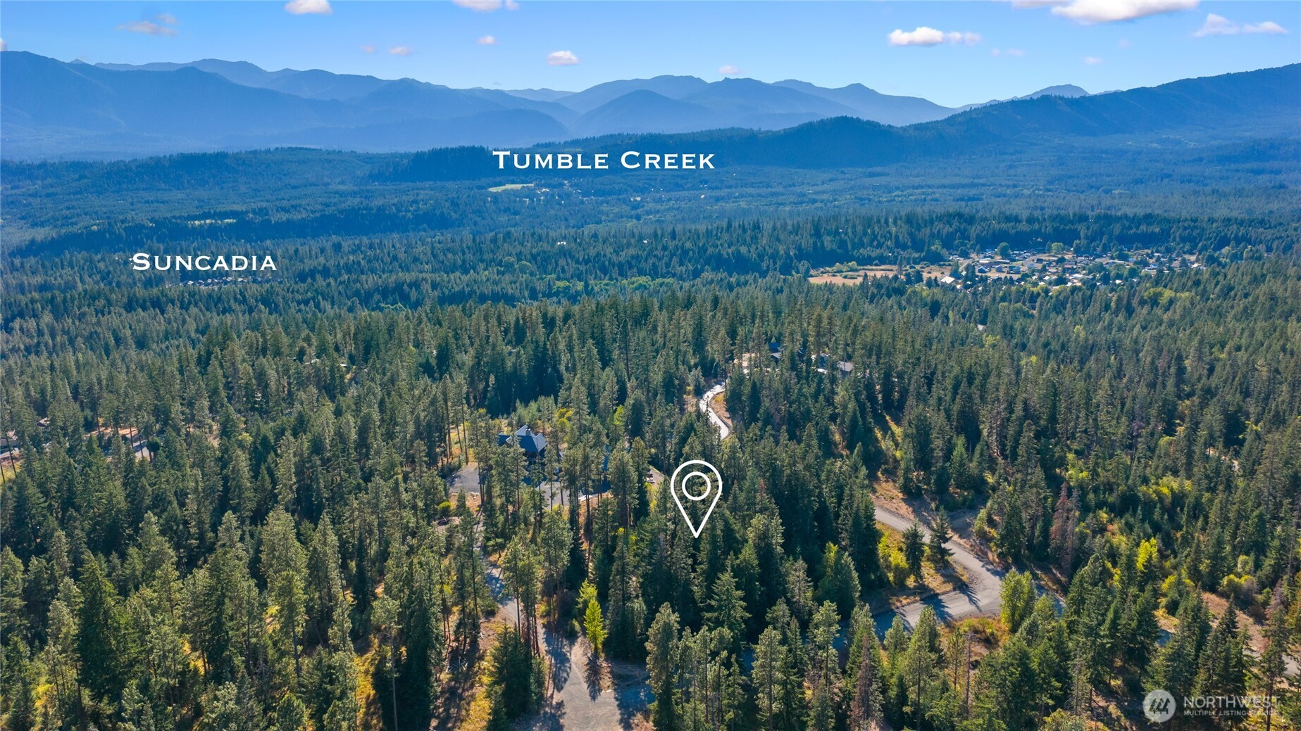 1000 R&R Hts Drive Roslyn, WA 98941 - Photo 16 of 23 a view of an lush green hillside and a mountain