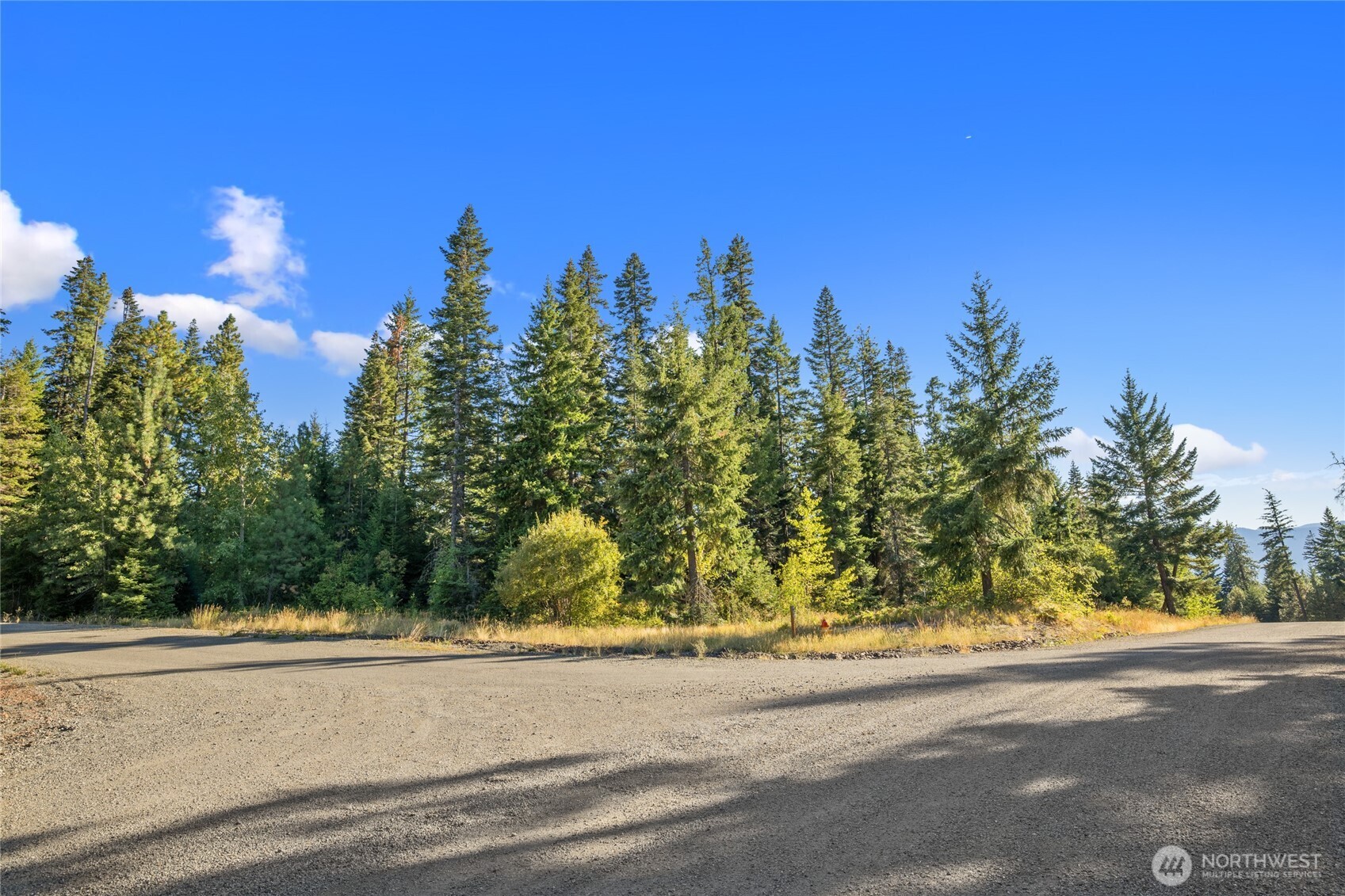 1000 R&R Hts Drive Roslyn, WA 98941 - Photo 2 of 23 a view of a yard with a trees