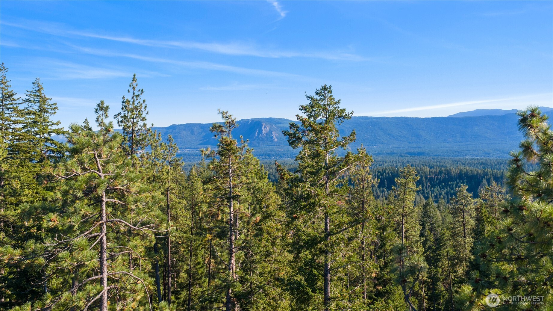 1000 R&R Hts Drive Roslyn, WA 98941 - Photo 21 of 23 an aerial view of a house with a yard