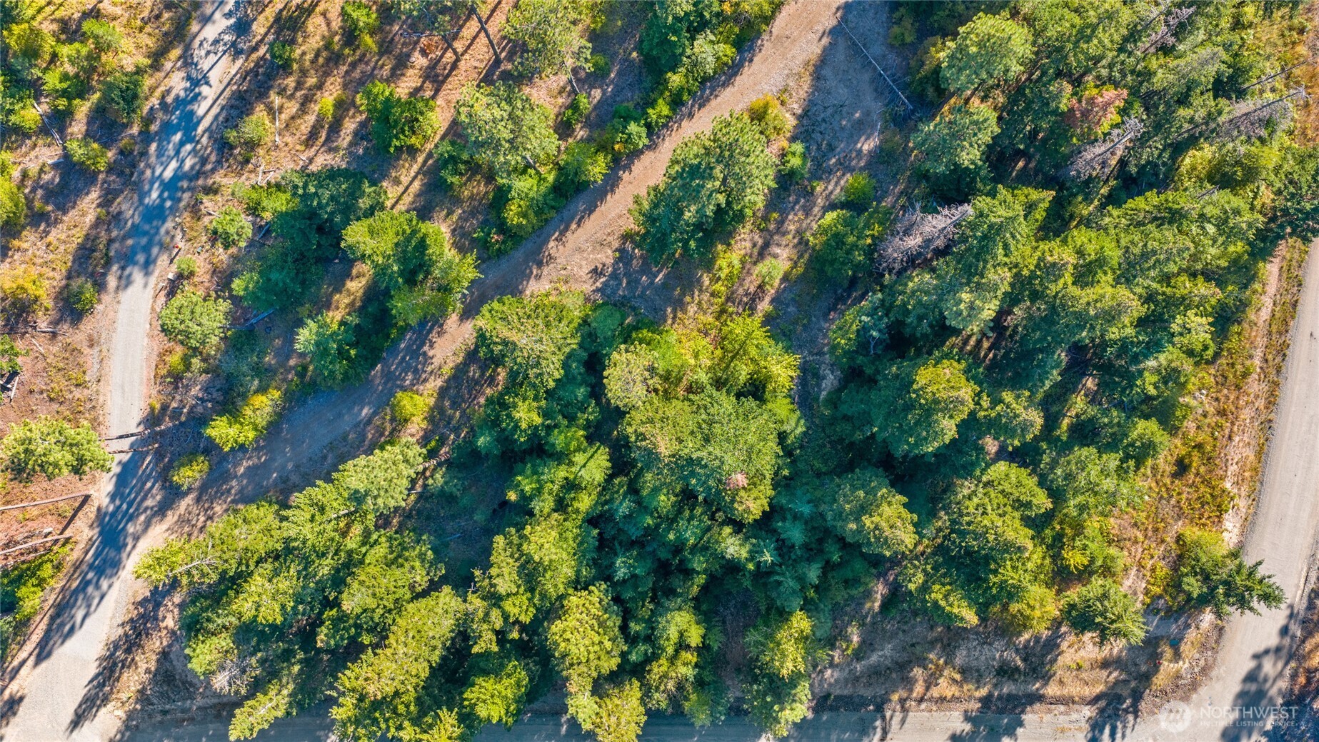 1000 R&R Hts Drive Roslyn, WA 98941 - Photo 22 of 23 a view of a tree