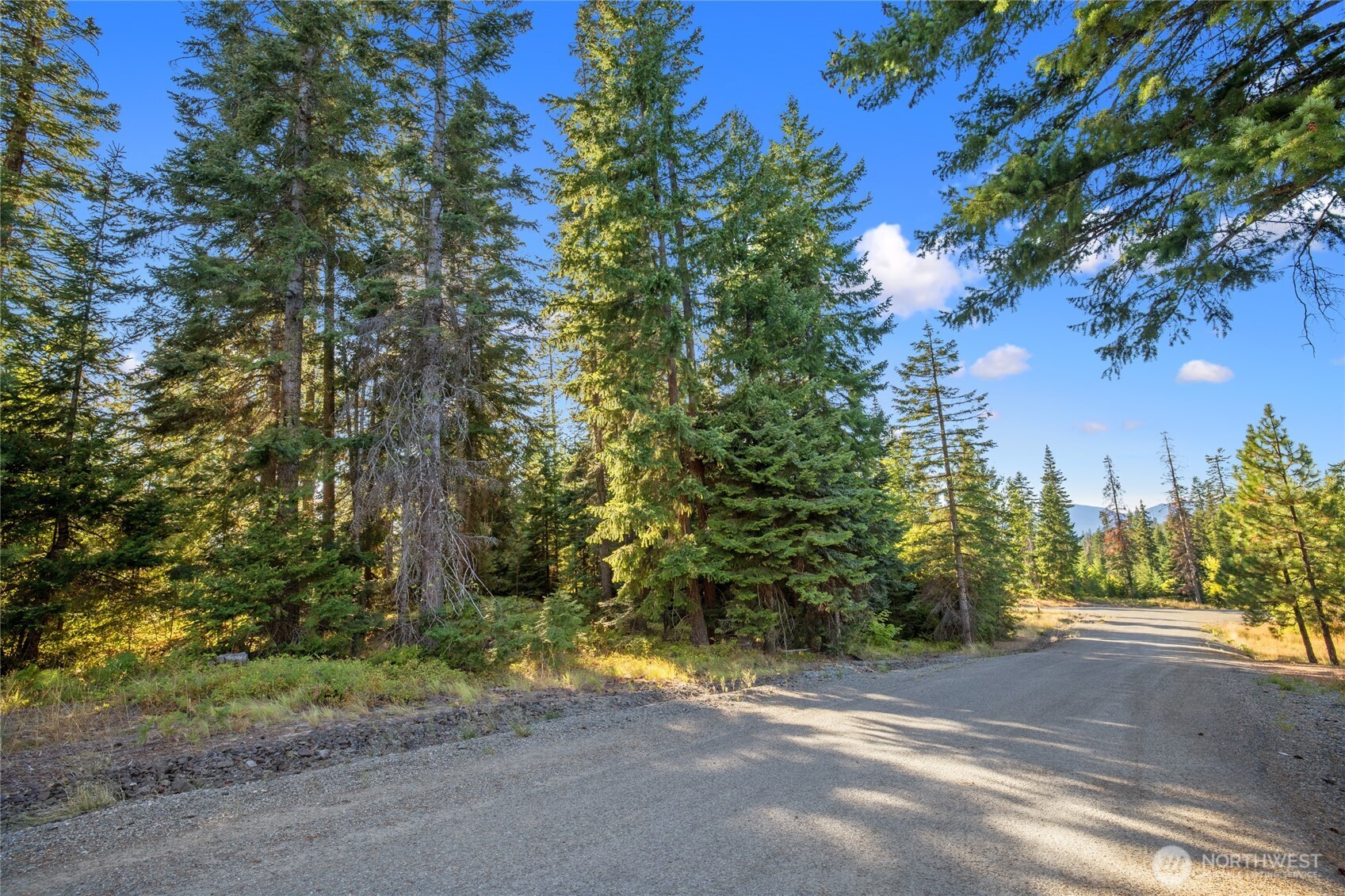 1000 R&R Hts Drive Roslyn, WA 98941 - Photo 4 of 23 a view of a yard with plants and trees