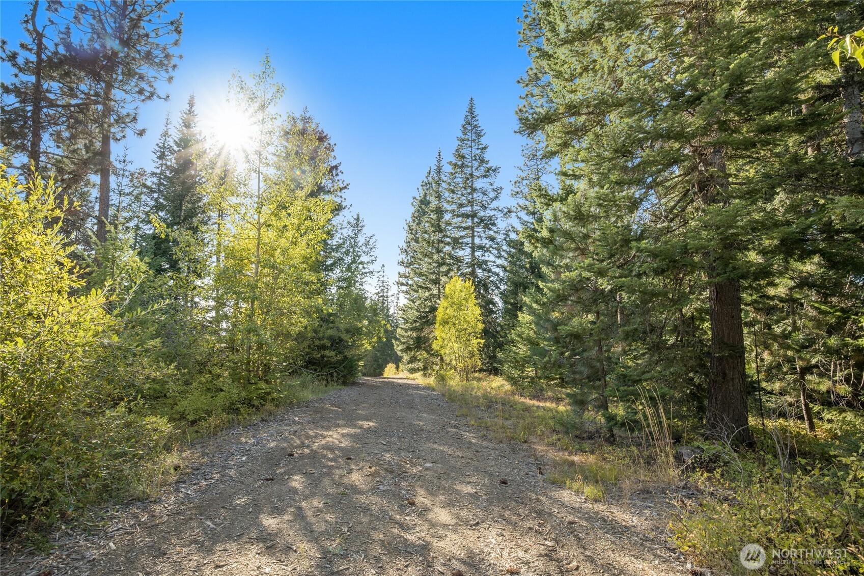 1000 R&R Hts Drive Roslyn, WA 98941 - Photo 5 of 23 a view of a forest with trees in the background